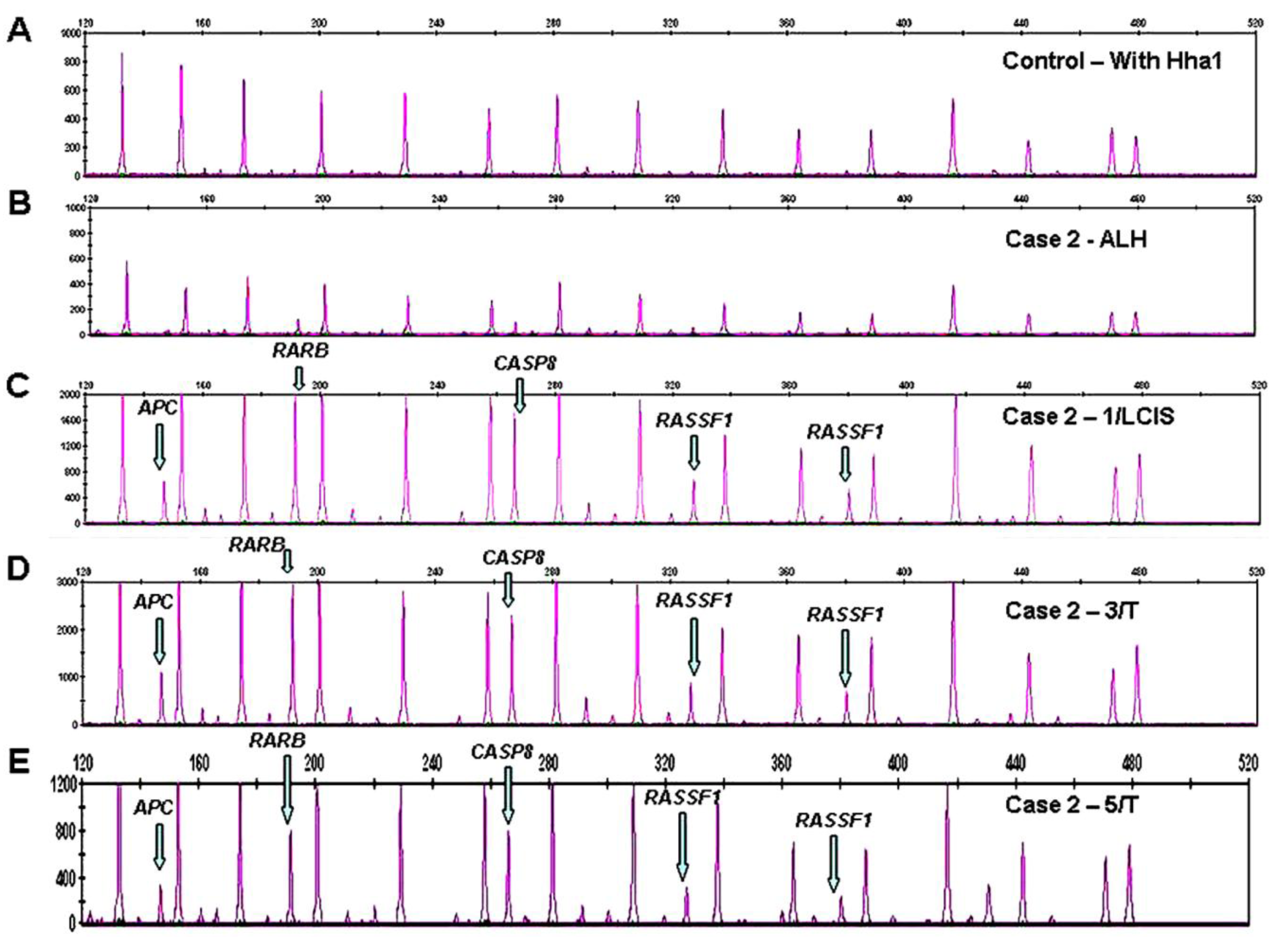 Cancers 03 01580f1 1024