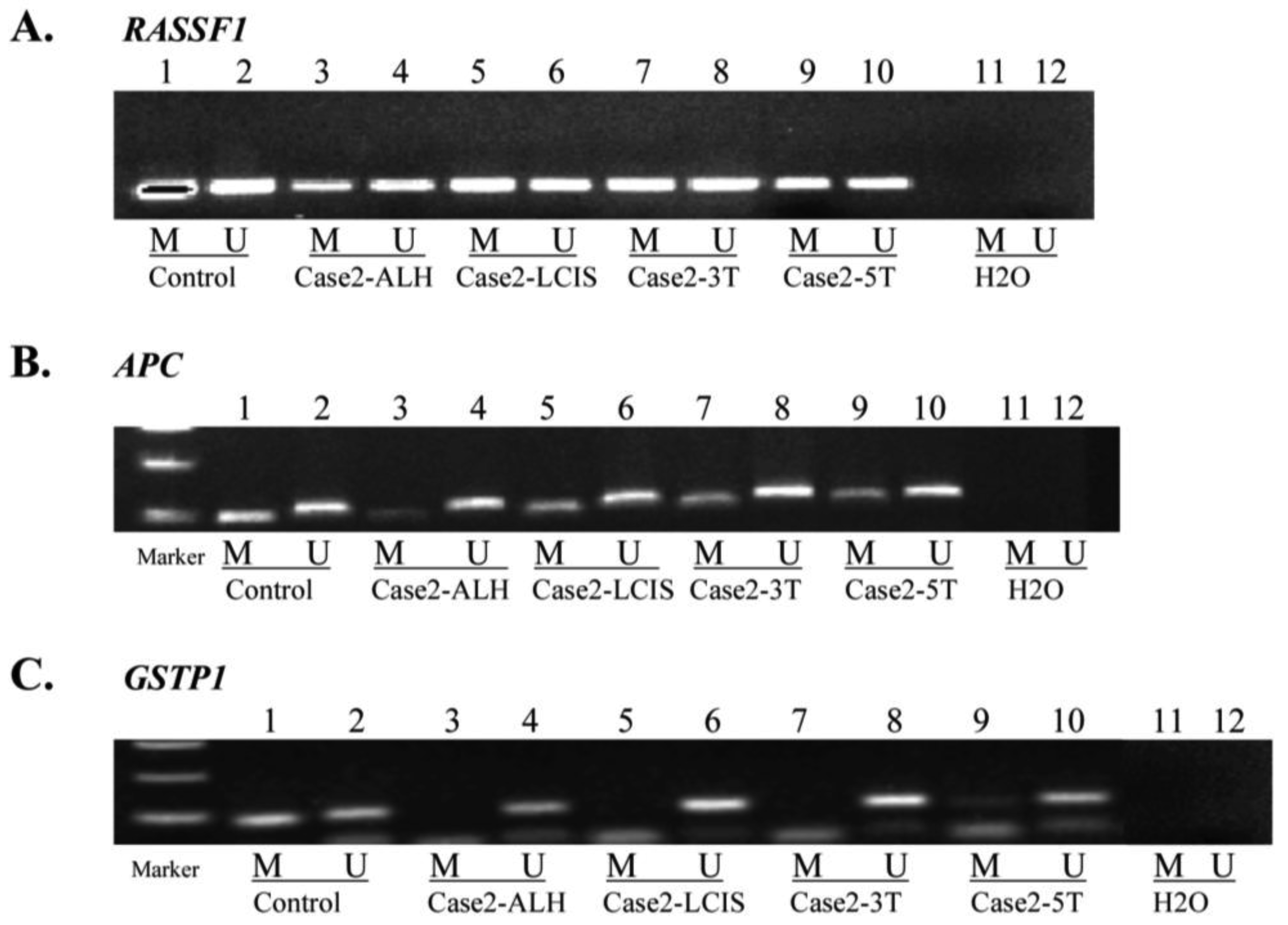 Cancers 03 01580f2 1024