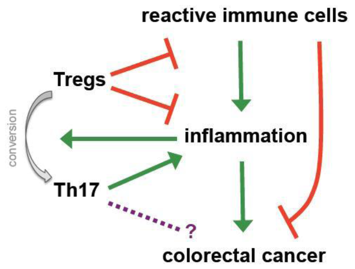 Cancers 03 01708f2 1024