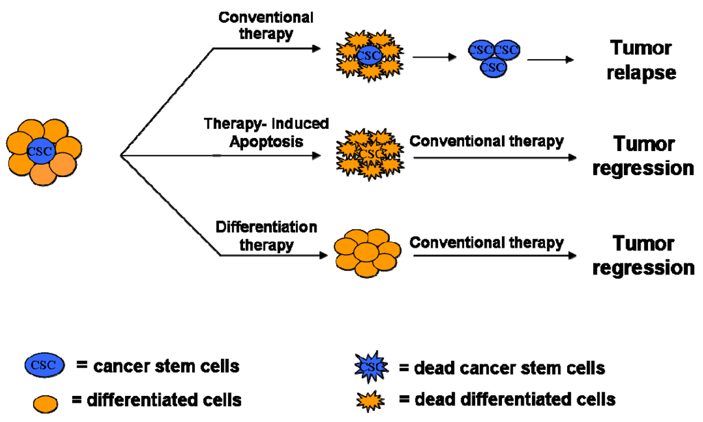 Cancers 03 01929f3 1024