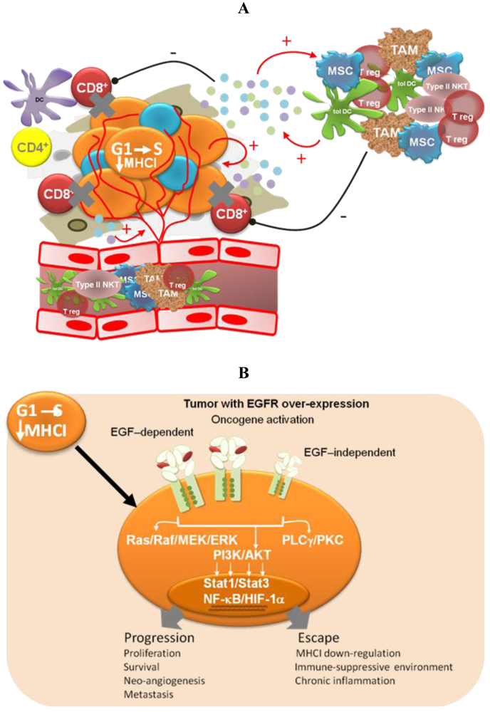 Cancers 03 02014f2a 1024