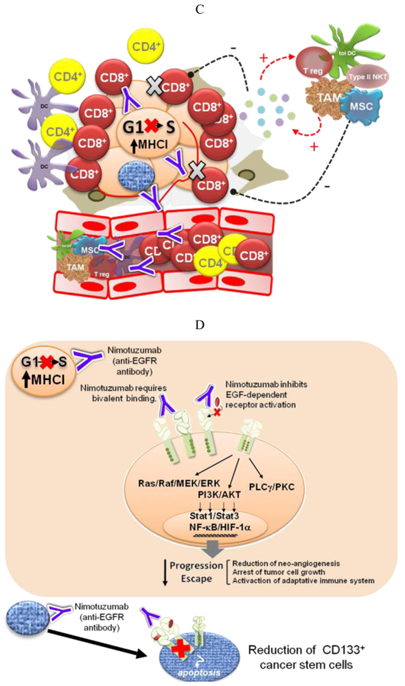 Cancers 03 02014f2b 1024