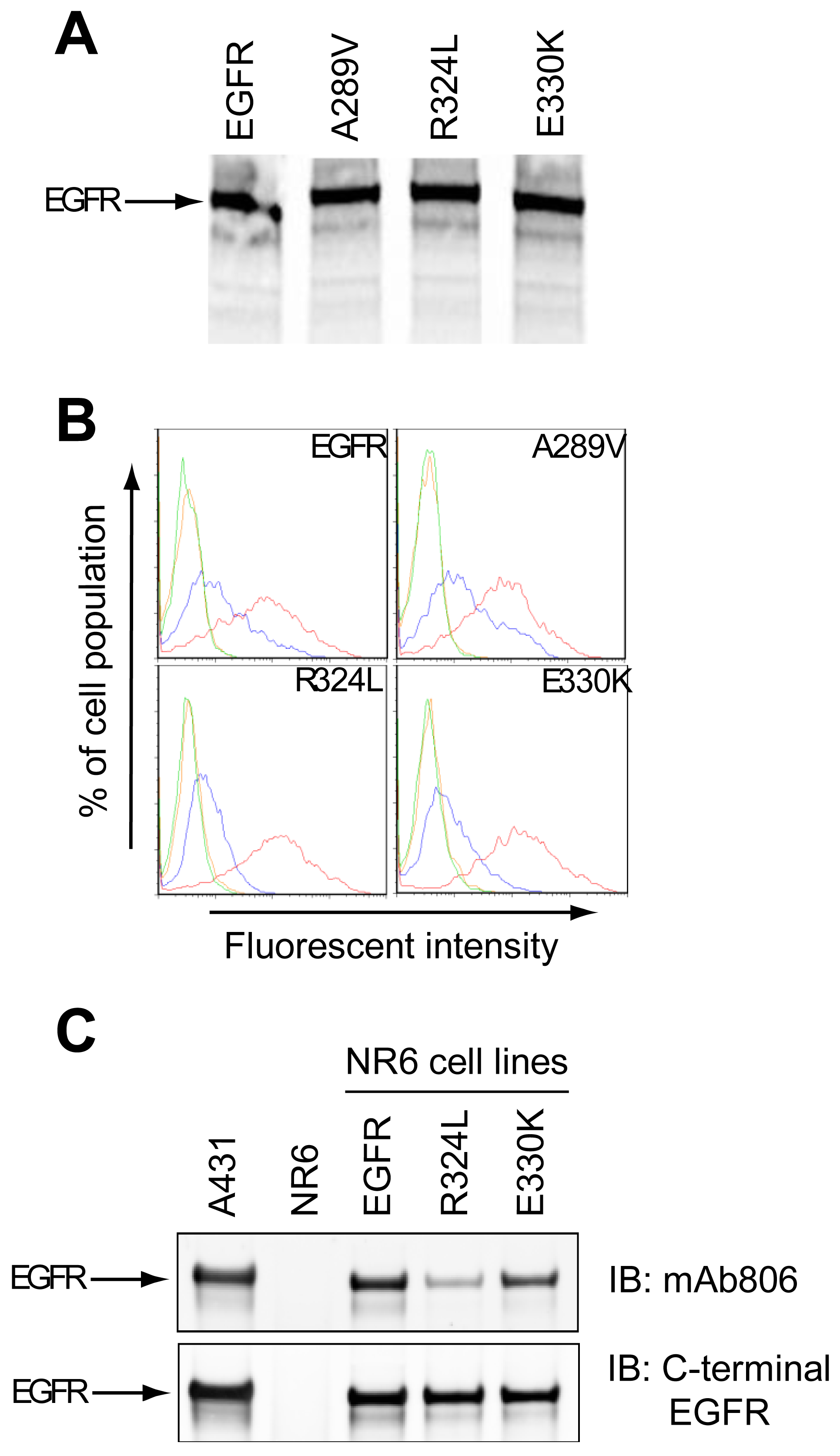 Cancers 03 02032f1 1024