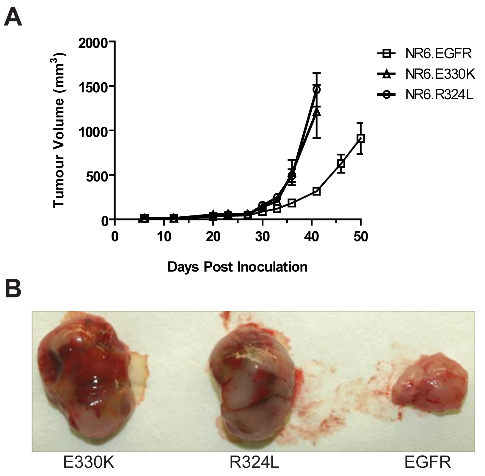 Cancers 03 02032f6 1024