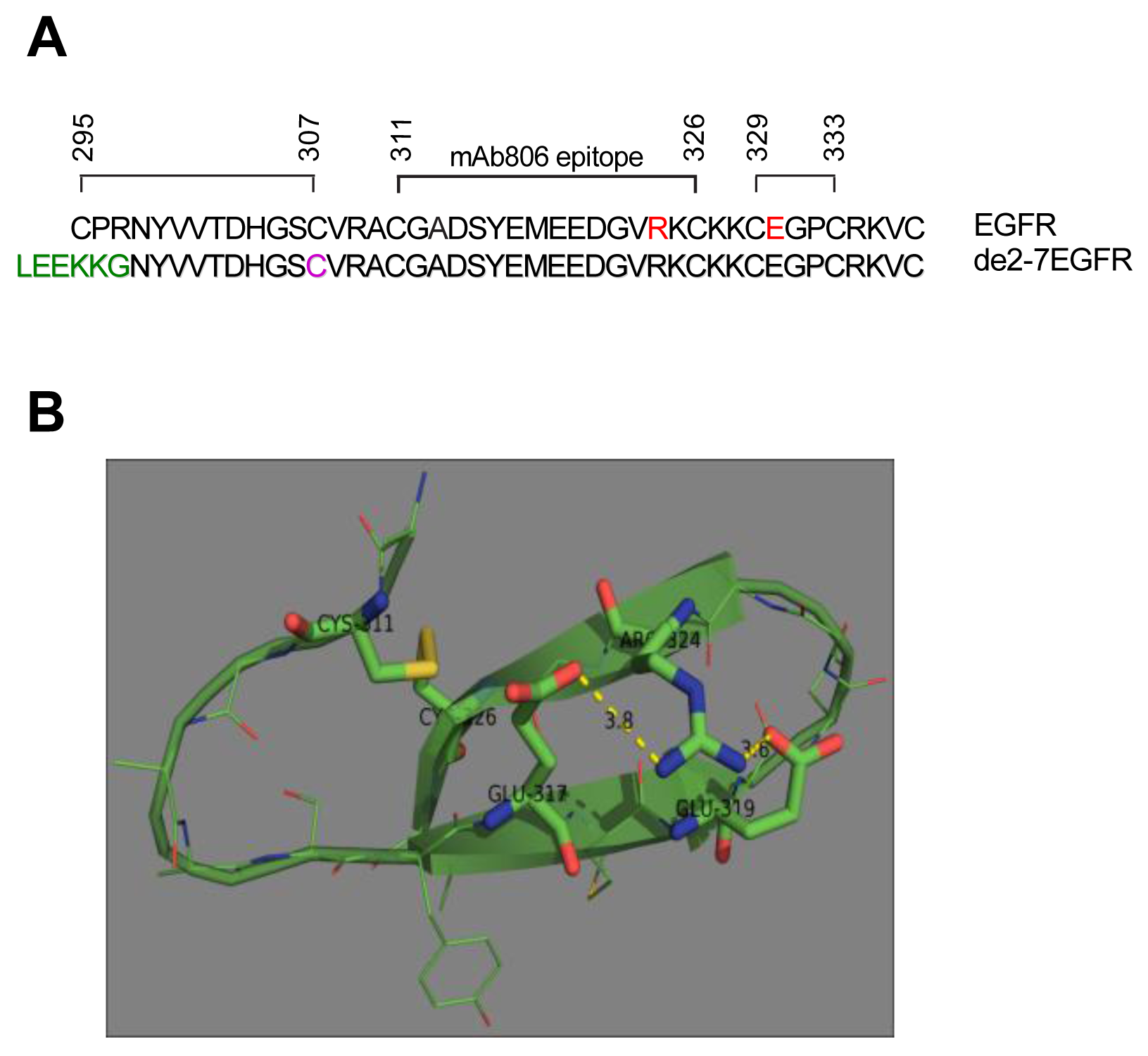 Cancers 03 02032f8 1024