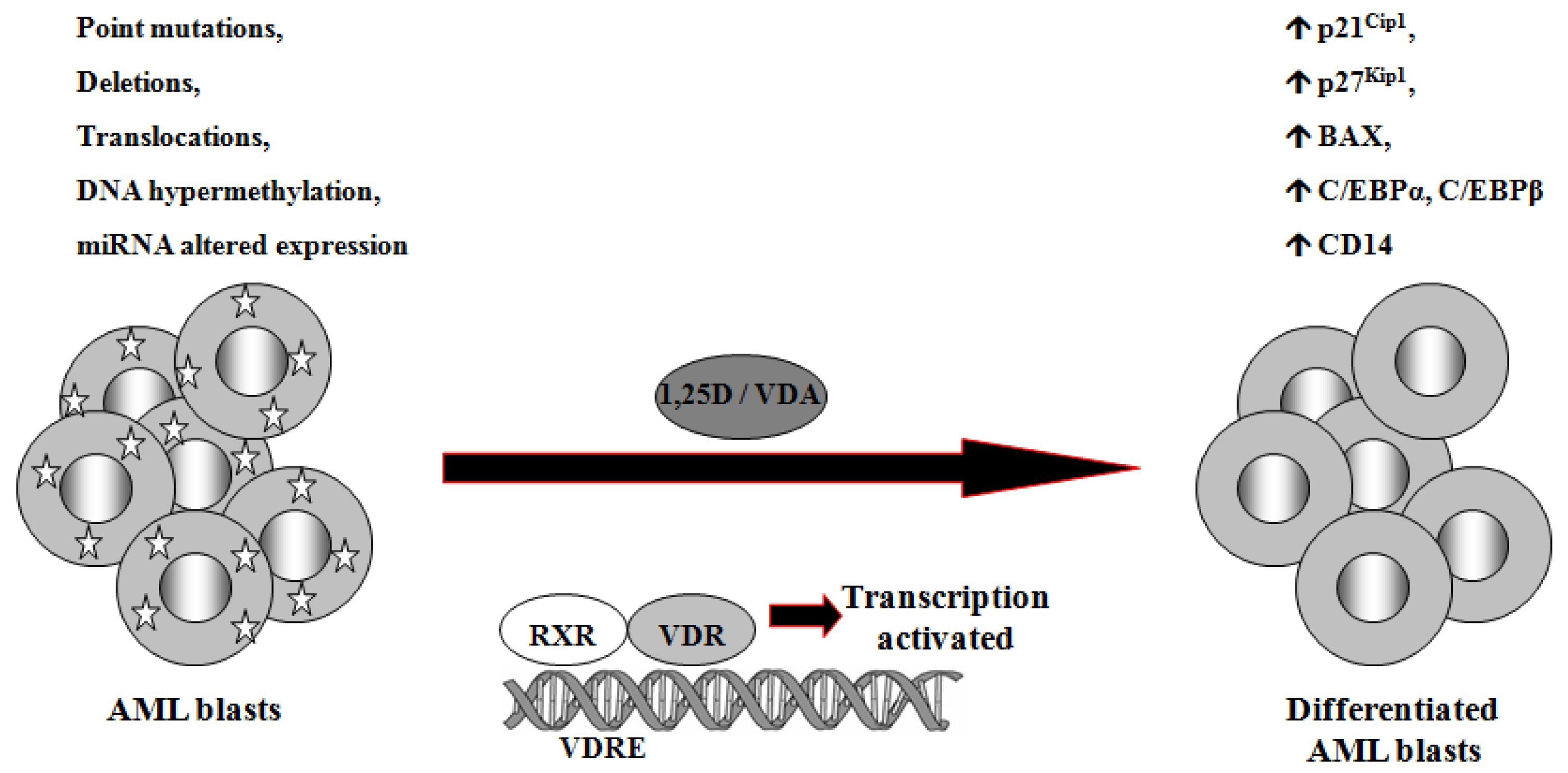 Cancers 03 02402f2 1024