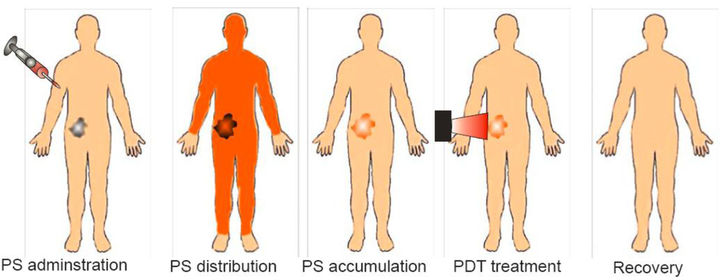 Cancers 03 02516f1 1024