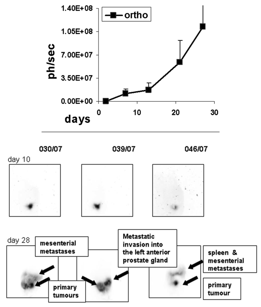 Cancers 03 02679f3 1024