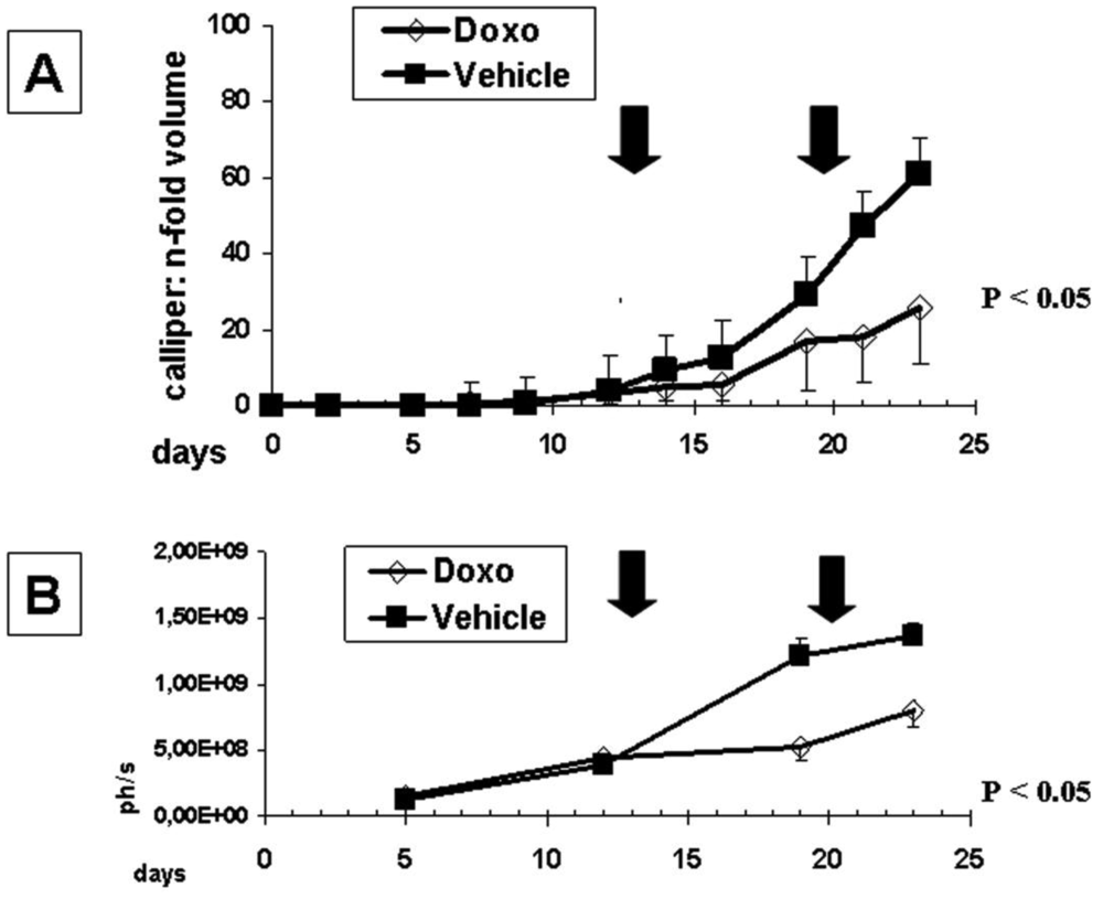 Cancers 03 02679f4 1024