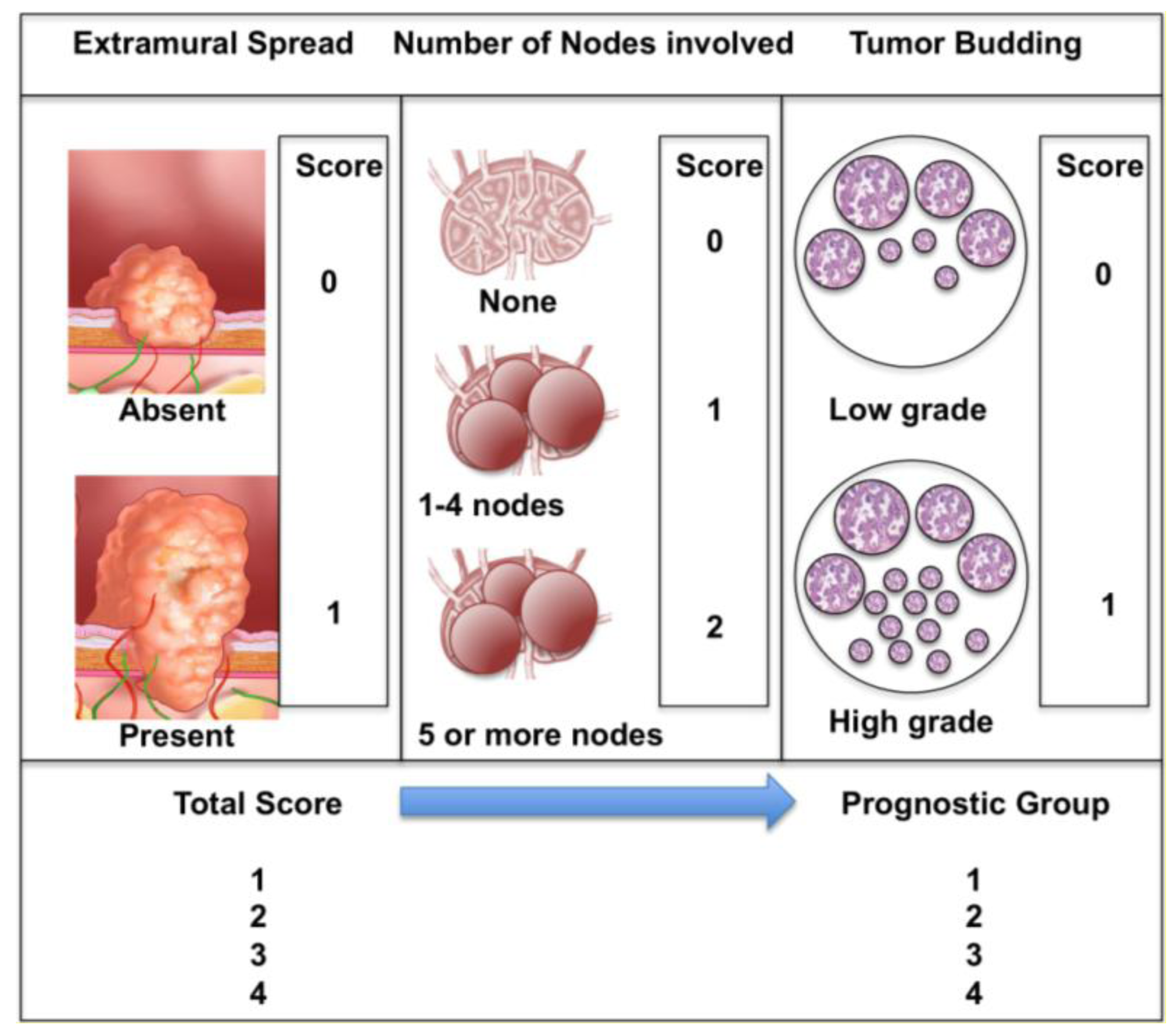 Cancers Free FullText Review of Histopathological and Molecular