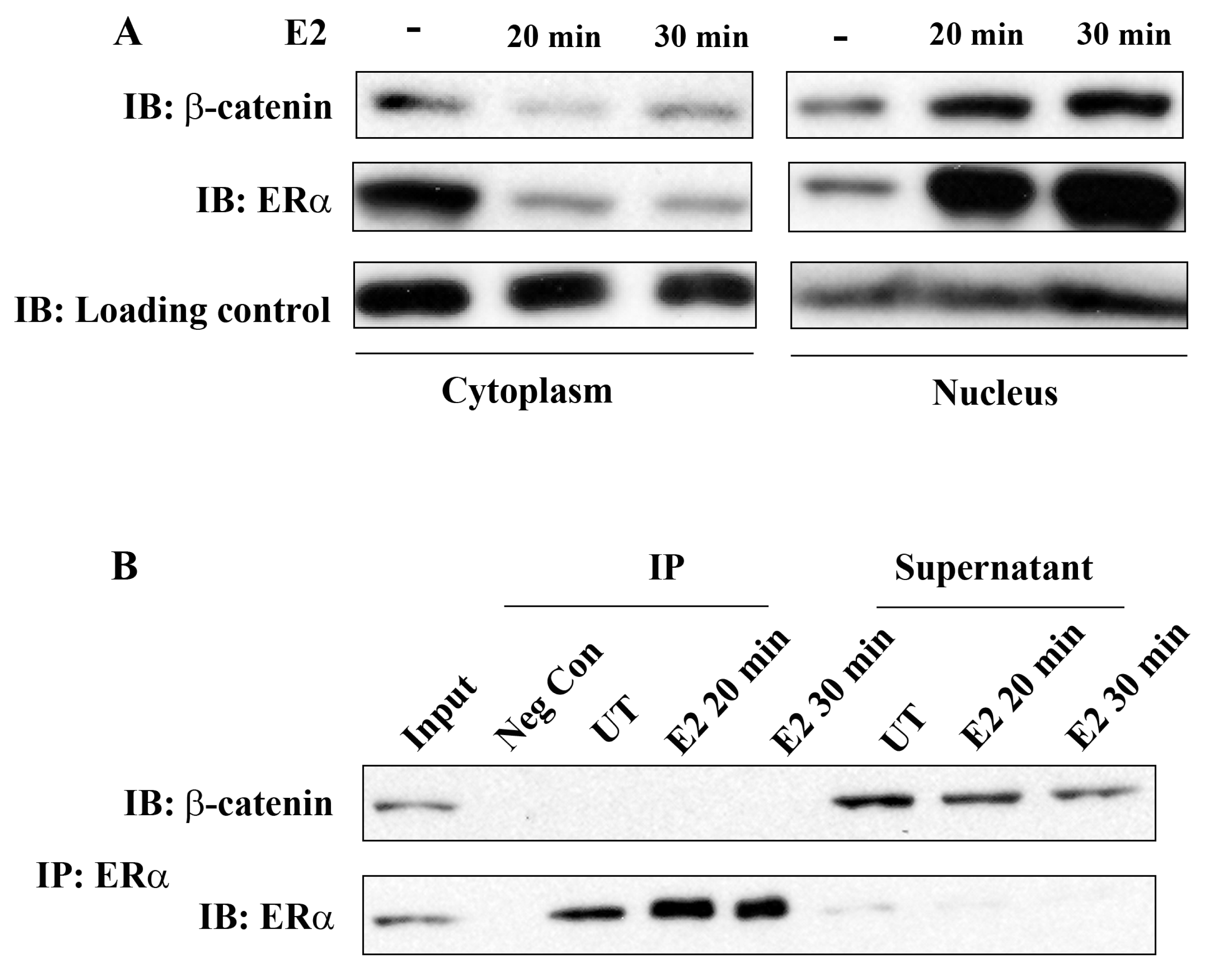 Cancers 03 02990f1 1024