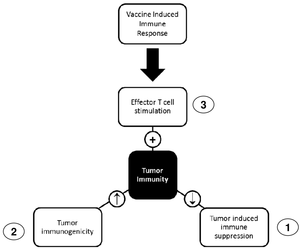 Immune Modulation by Chemotherapy or Immunotherapy to Enhance Cancer ...