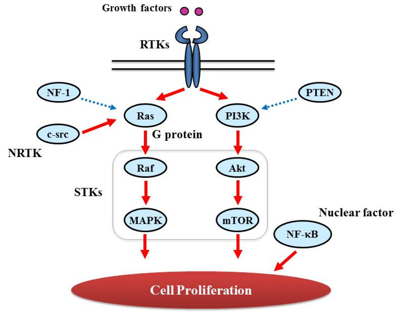 Cancers 03 03242f3 1024