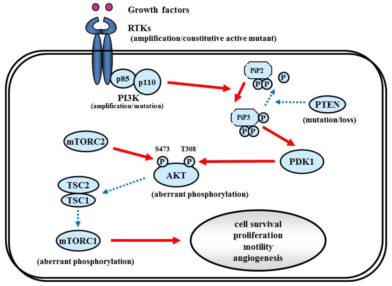 Cancers 03 03242f6 1024