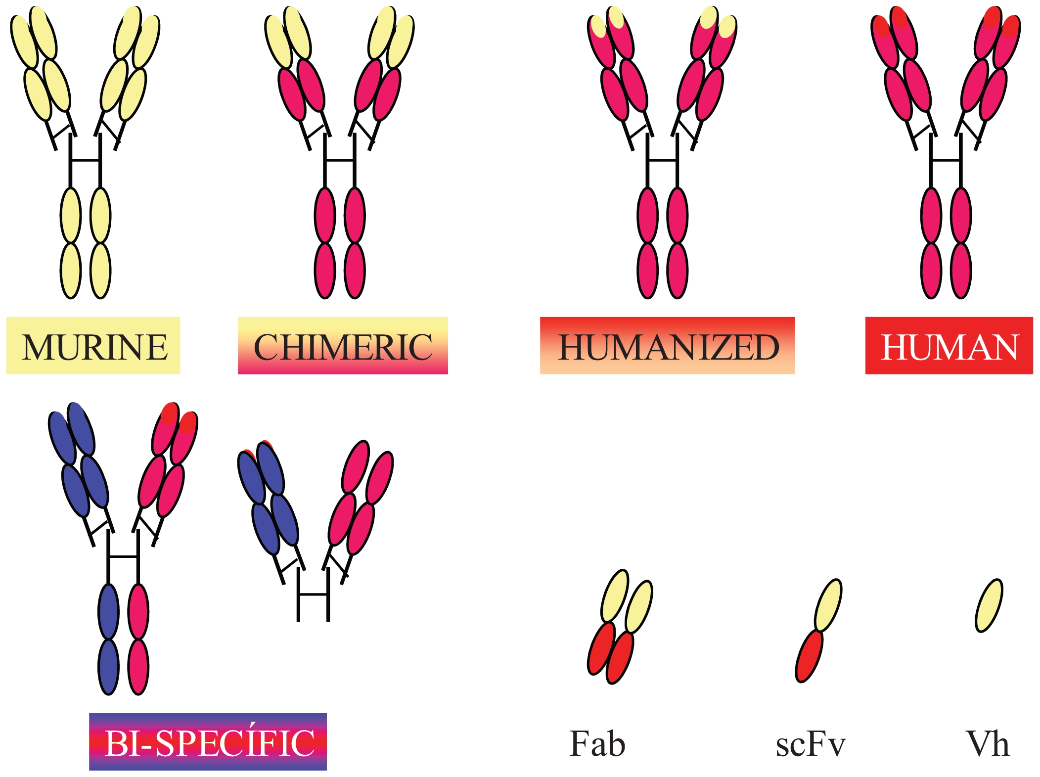 Cancers 03 03279f2 1024