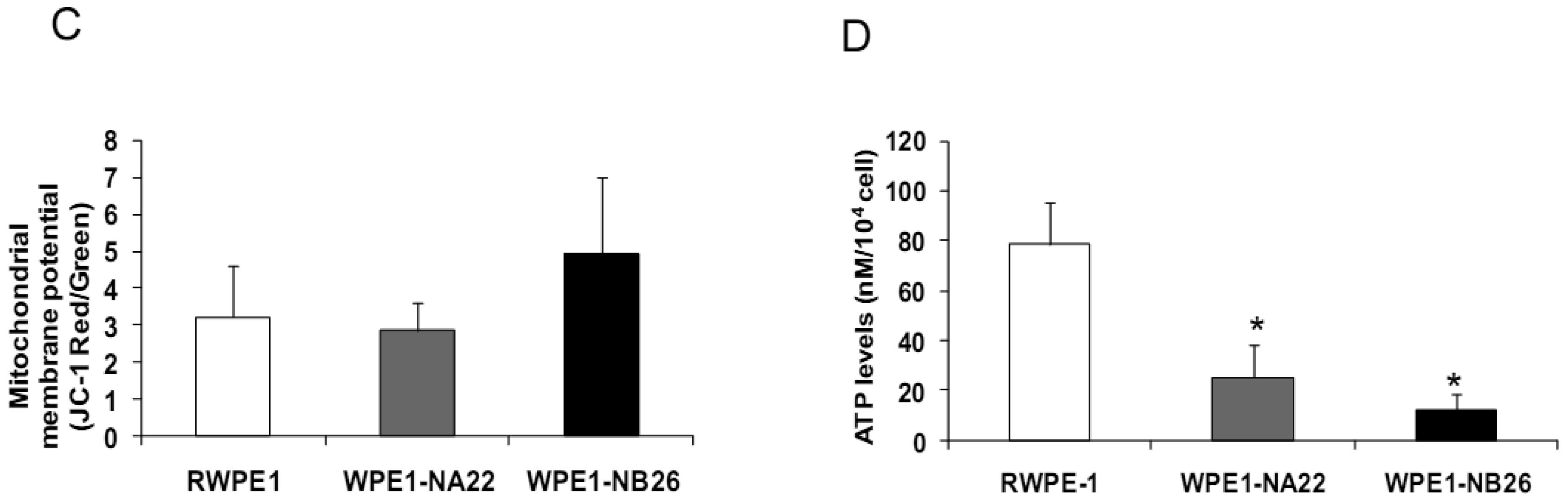 Cancers 03 03557f3b 1024