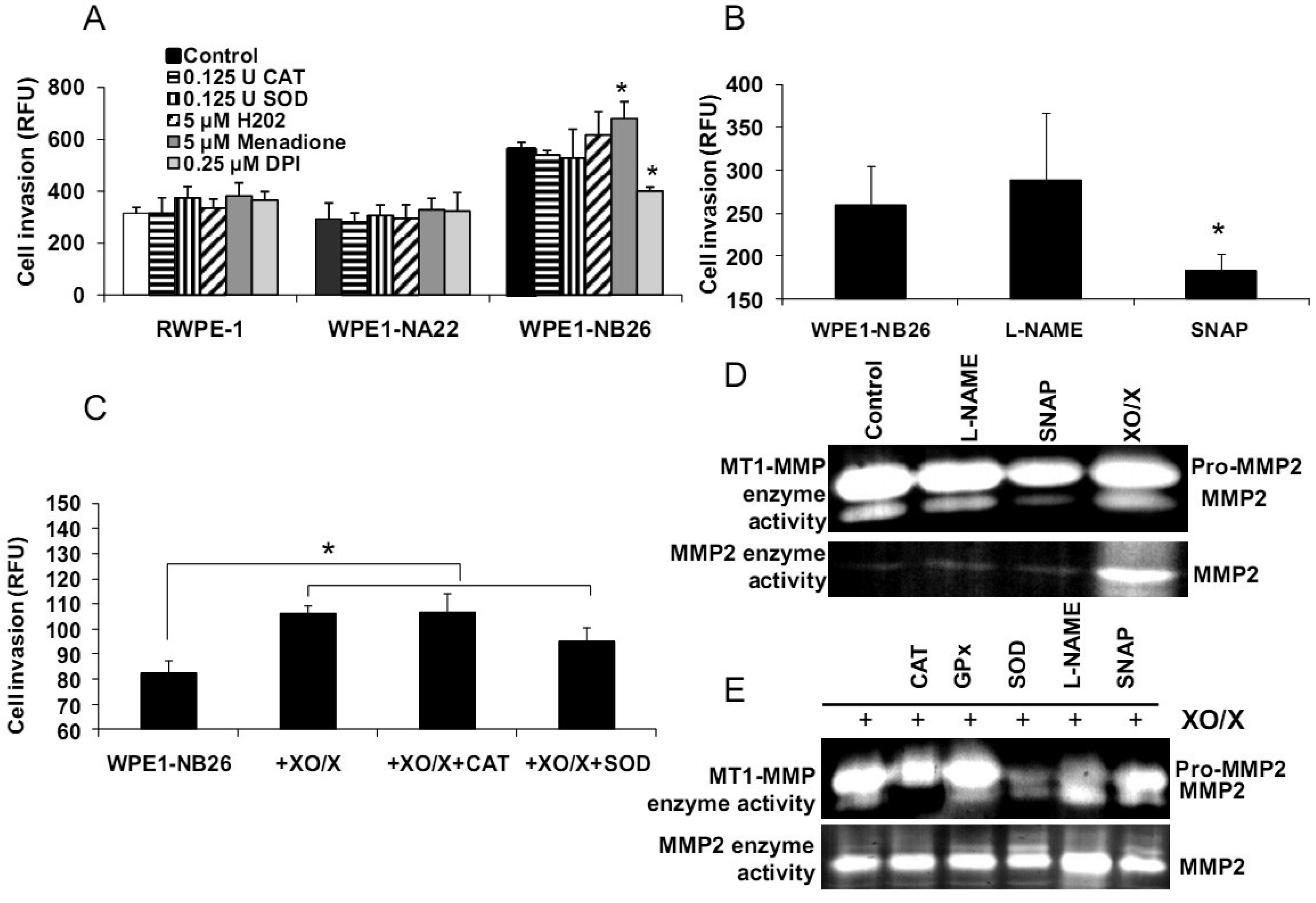 Cancers 03 03557f6 1024