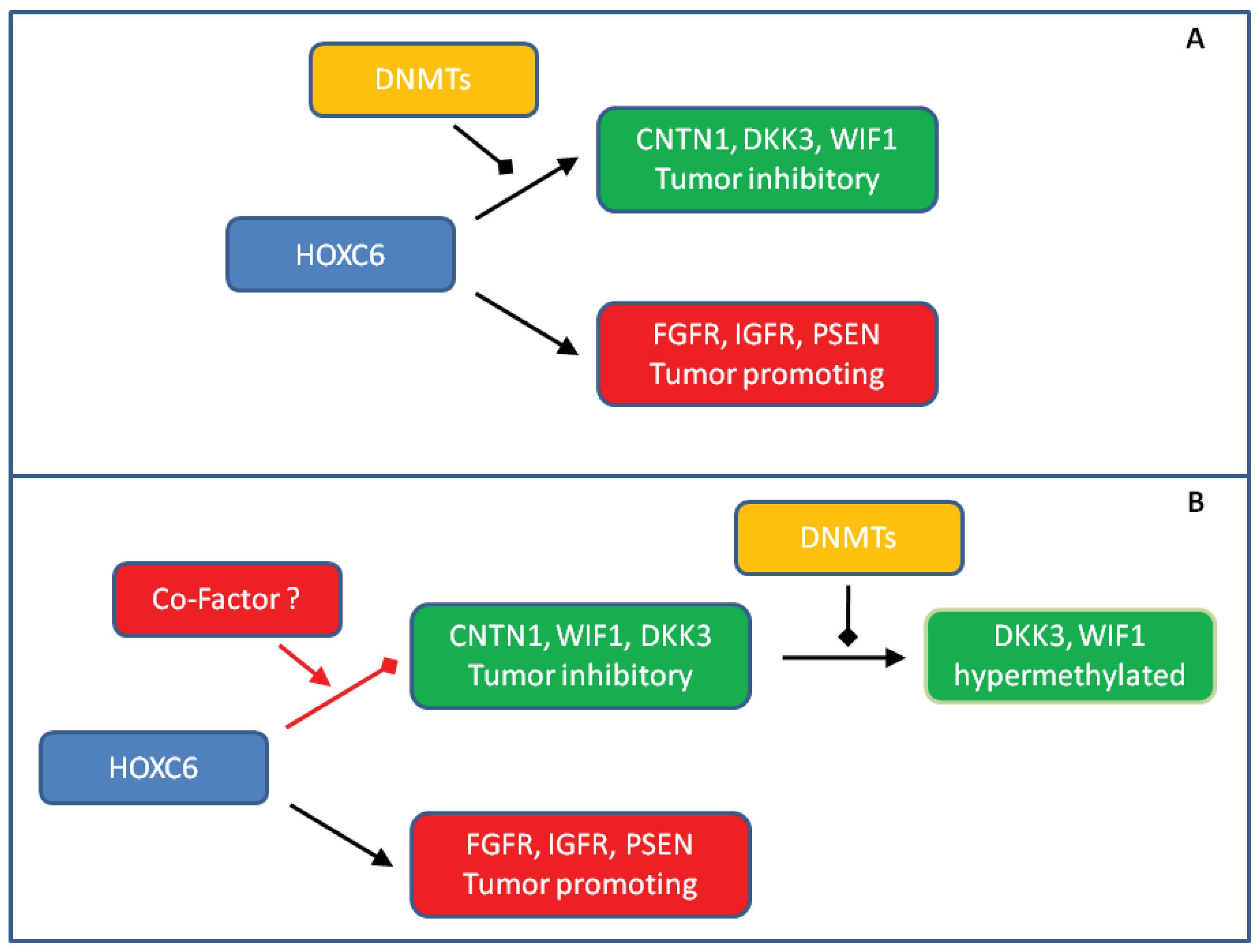 Cancers 03 03714f5 1024