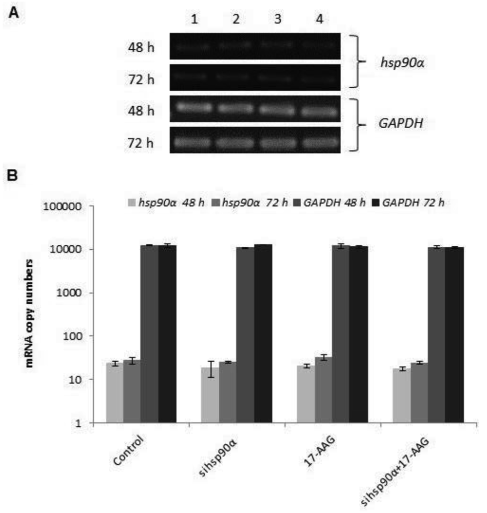 Cancers 03 04228f3 1024