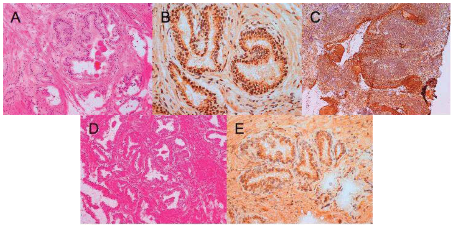 Cancers 03 04281f4 1024