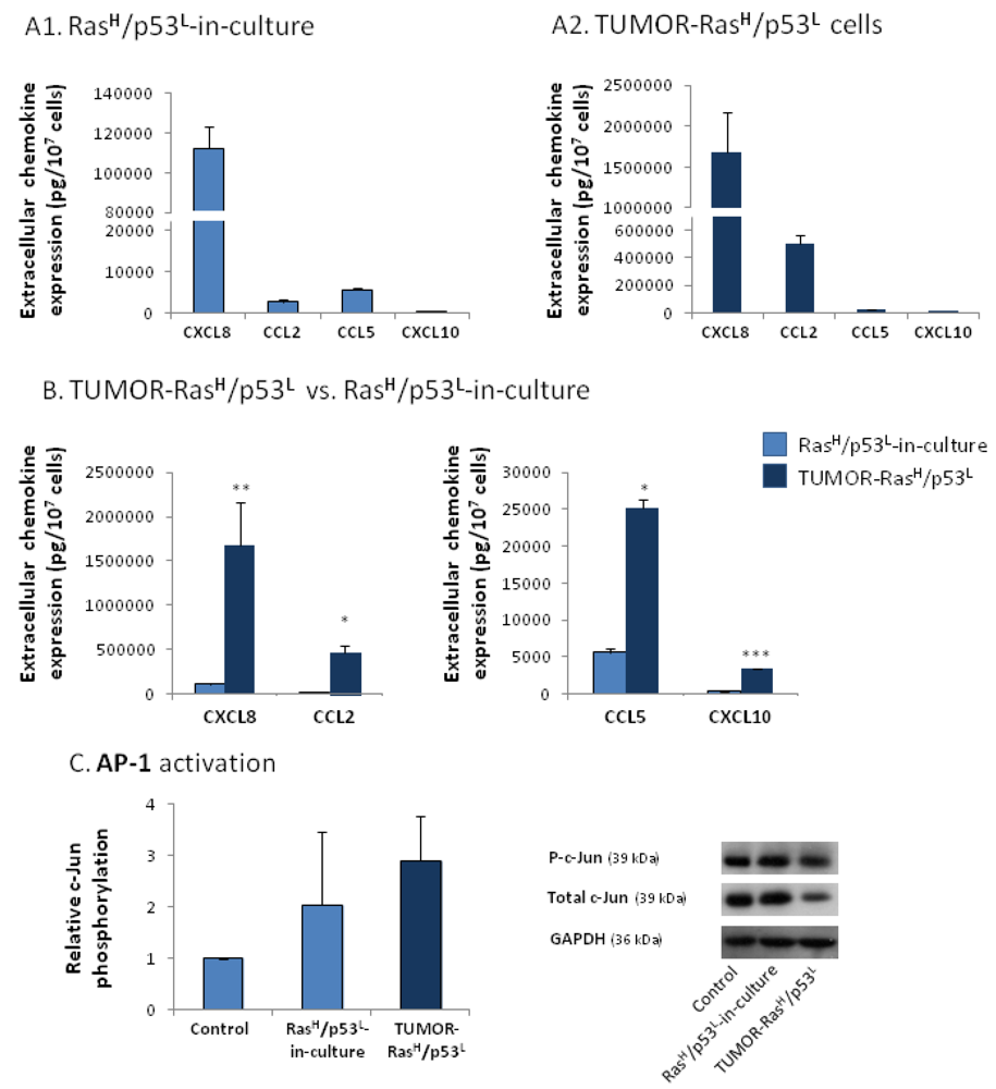 Cancers 04 00055 g004 1024