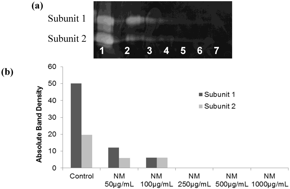 Cancers 04 00323 g010