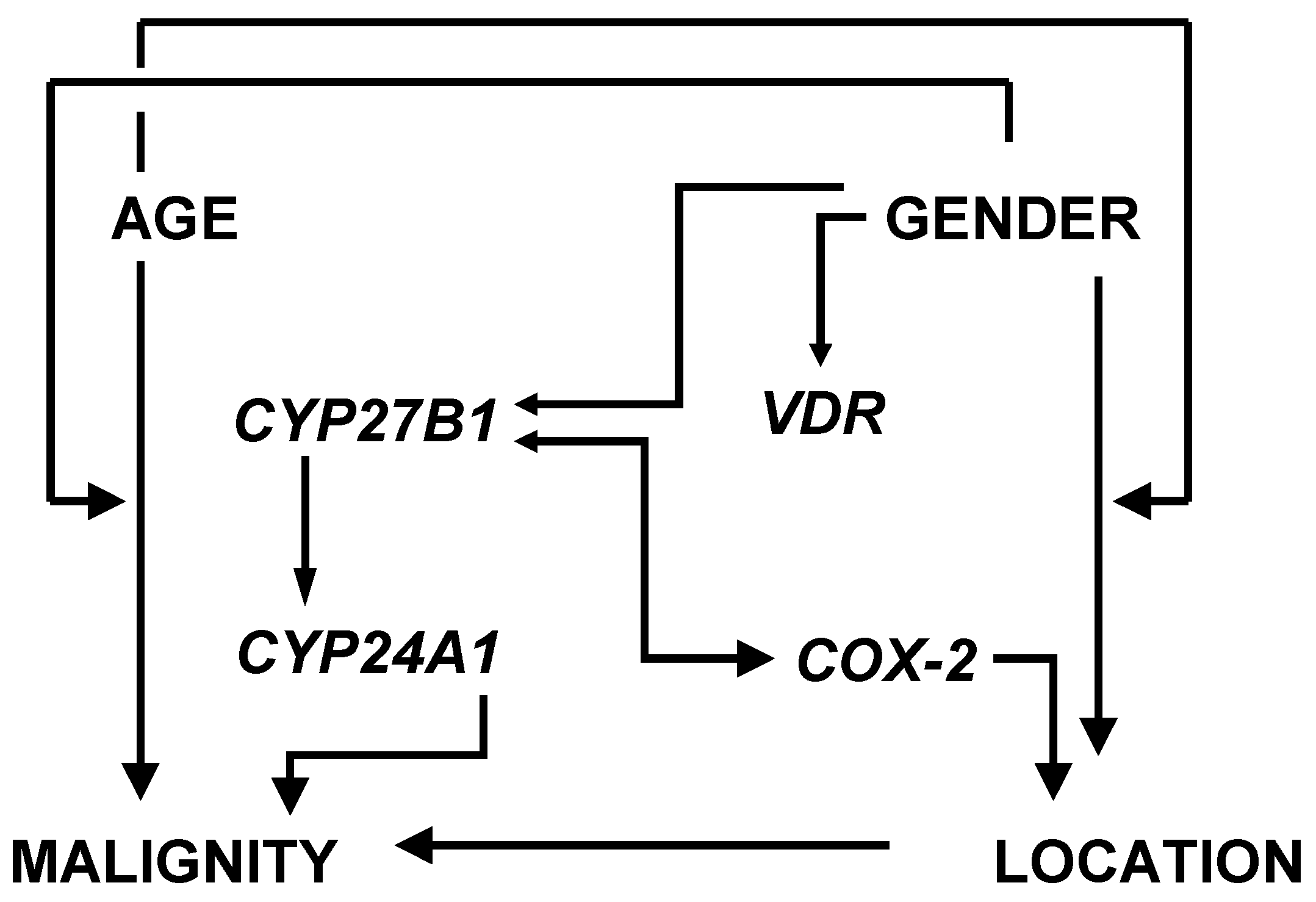 Cancers 04 00763 g005 1024