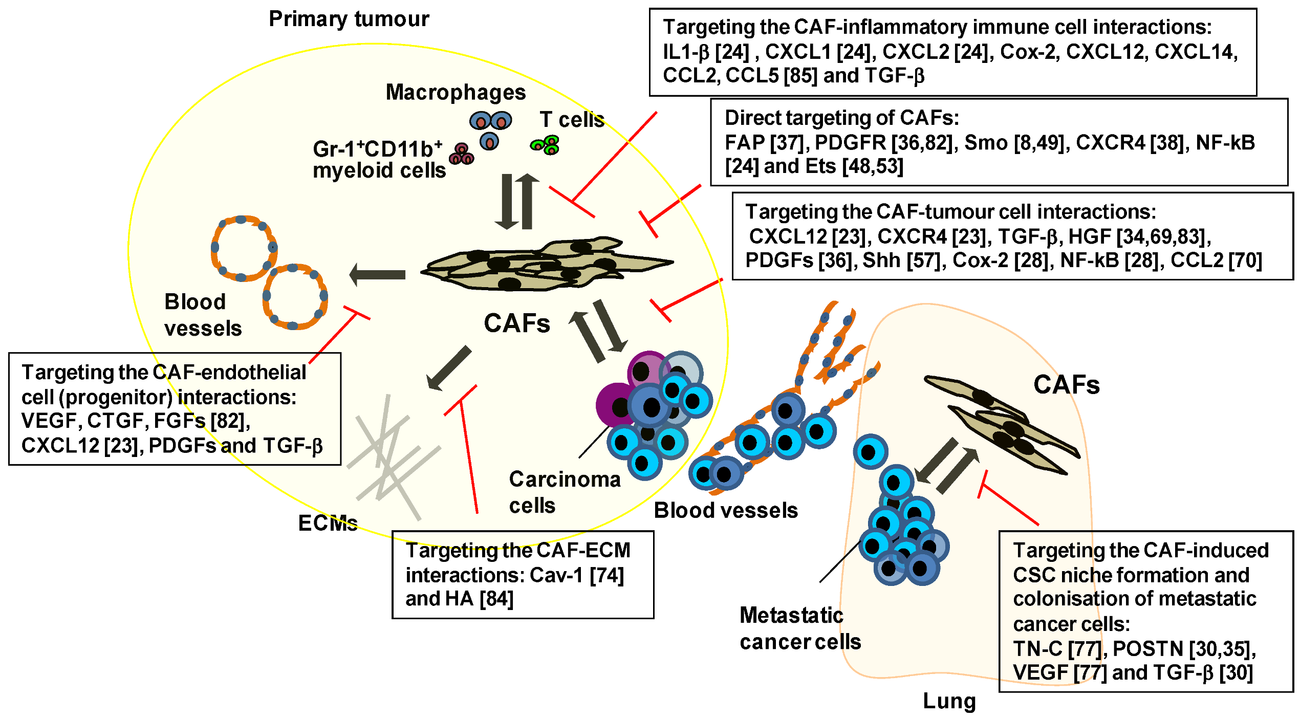 Cancers 05 00149 g001