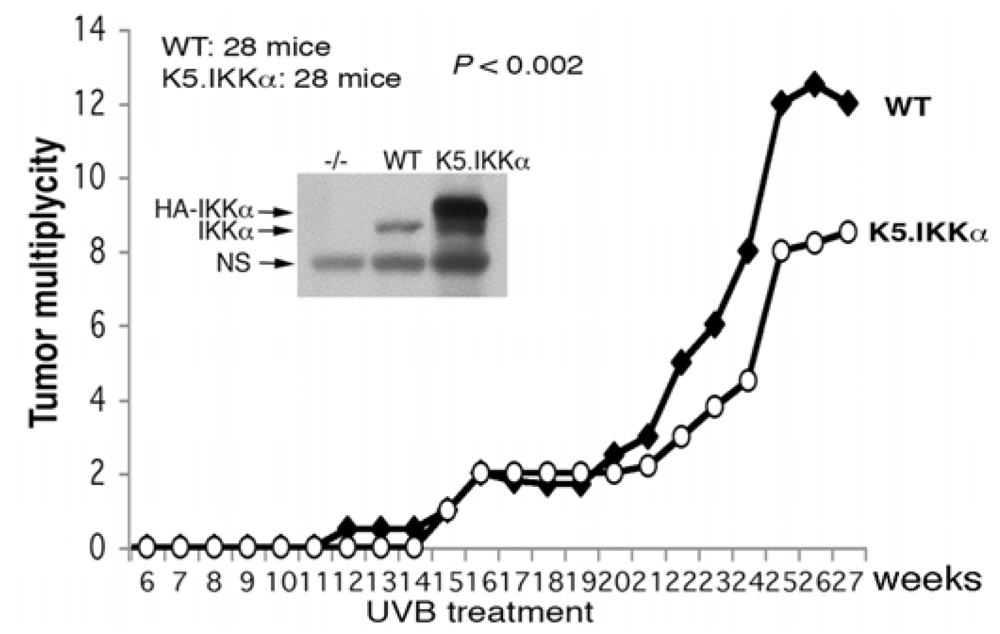 Cancers 05 00170 g001 1024