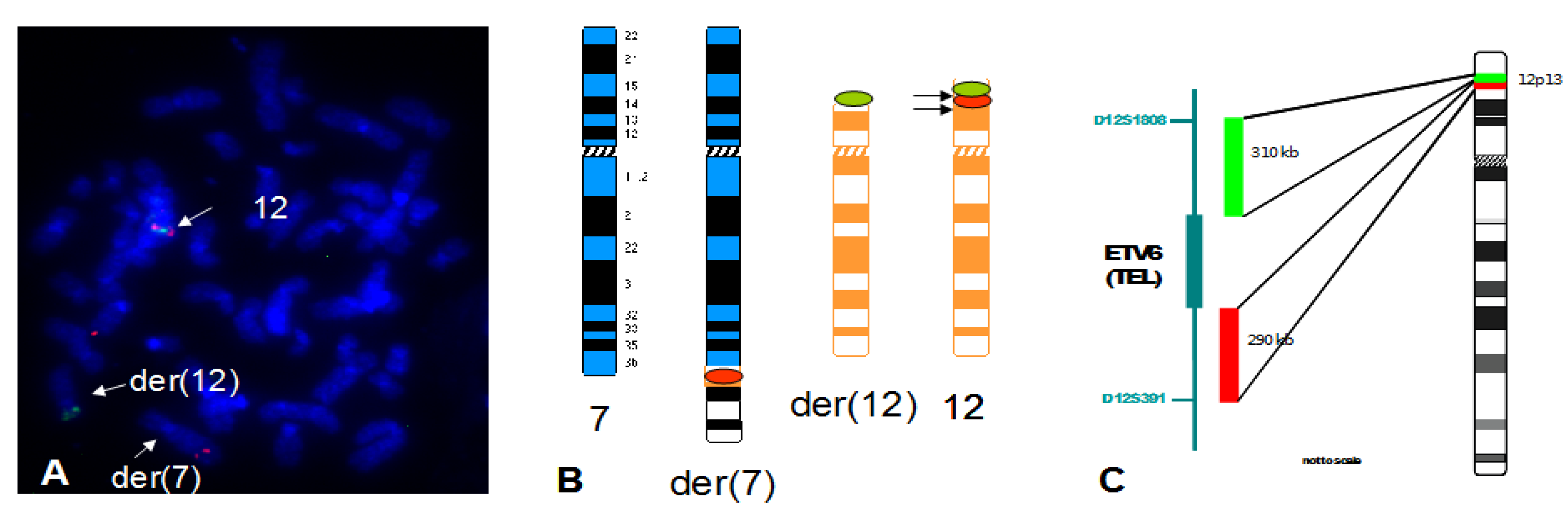 Cancers 05 00281 g008