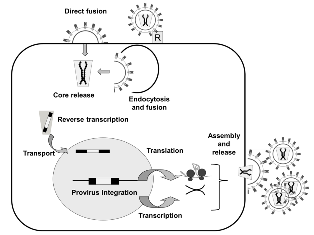 Cancers Special Issue Cancers Gene Therapy