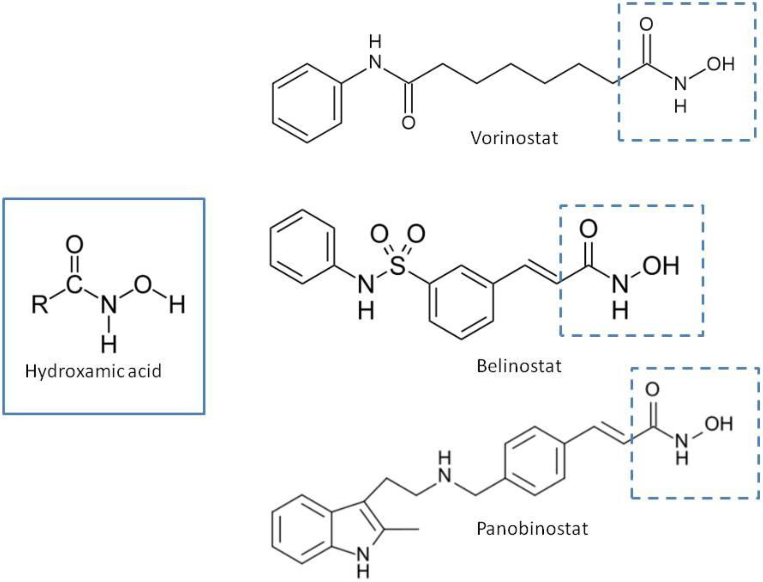 Cancers 05 00919 g001