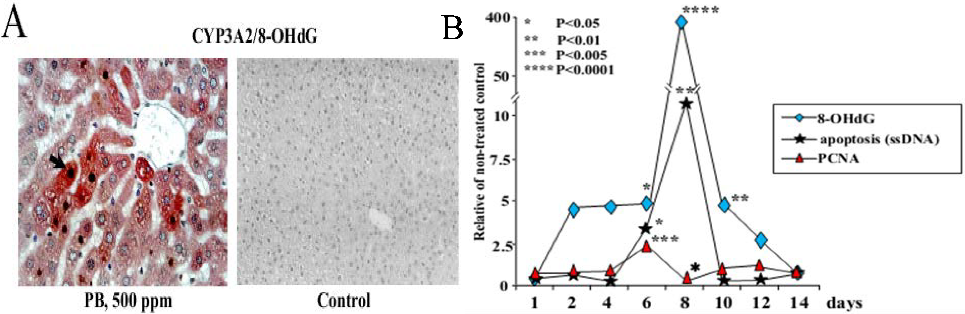 Cancers 05 01332 g001