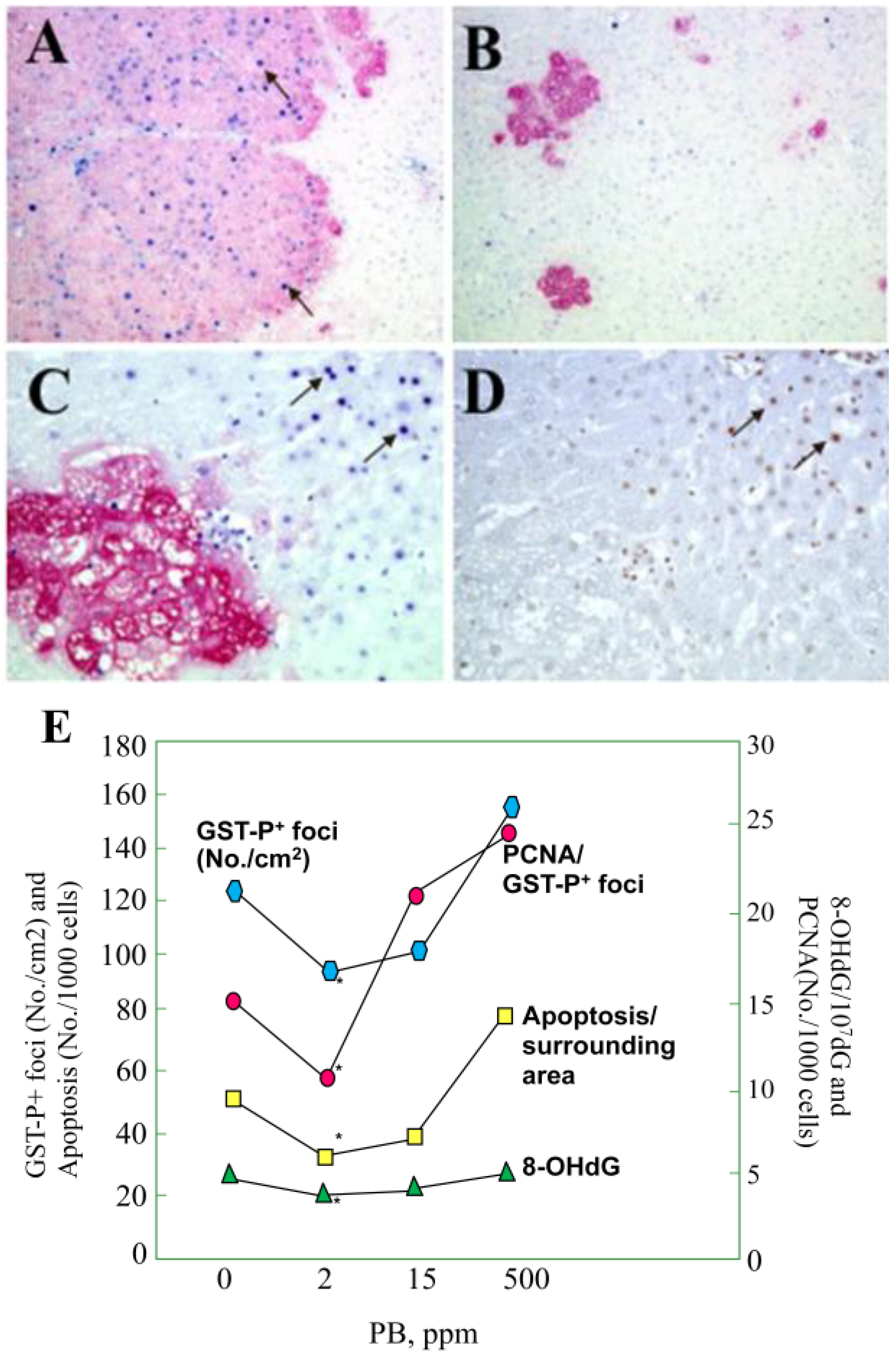 Cancers 05 01332 g002