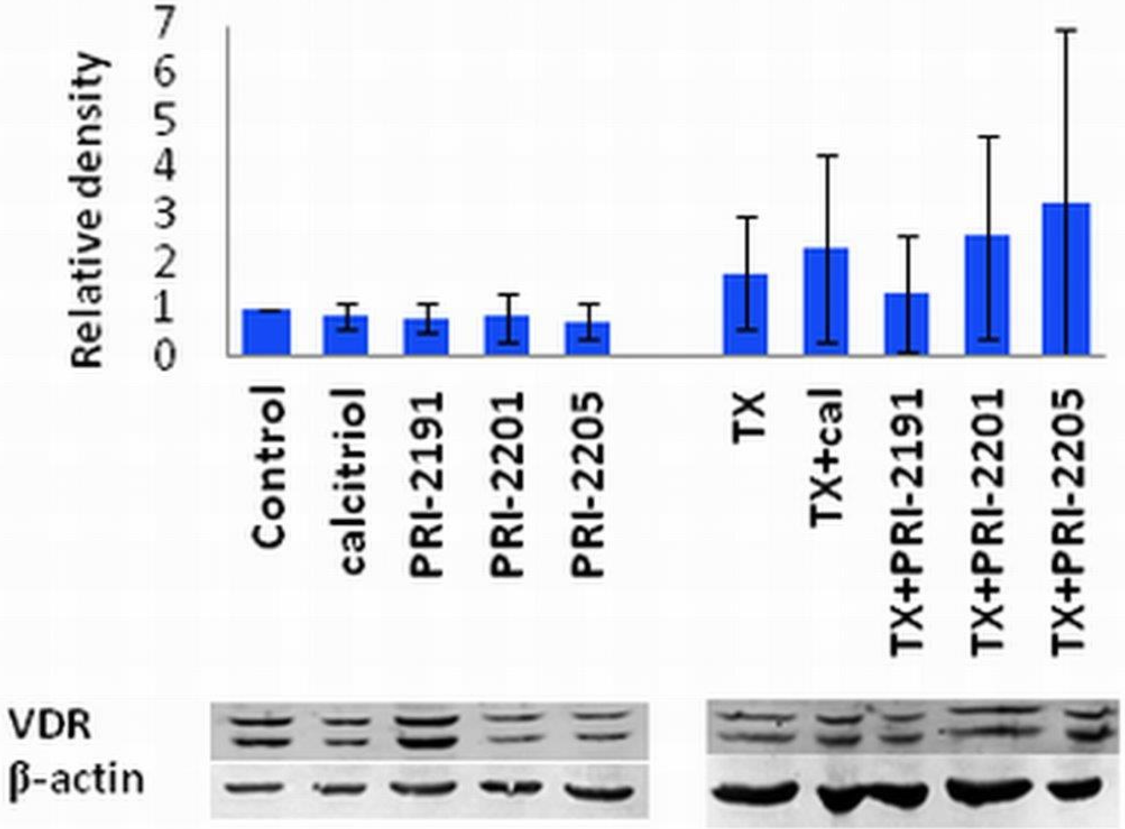 Cancers 05 01355 g005 1024