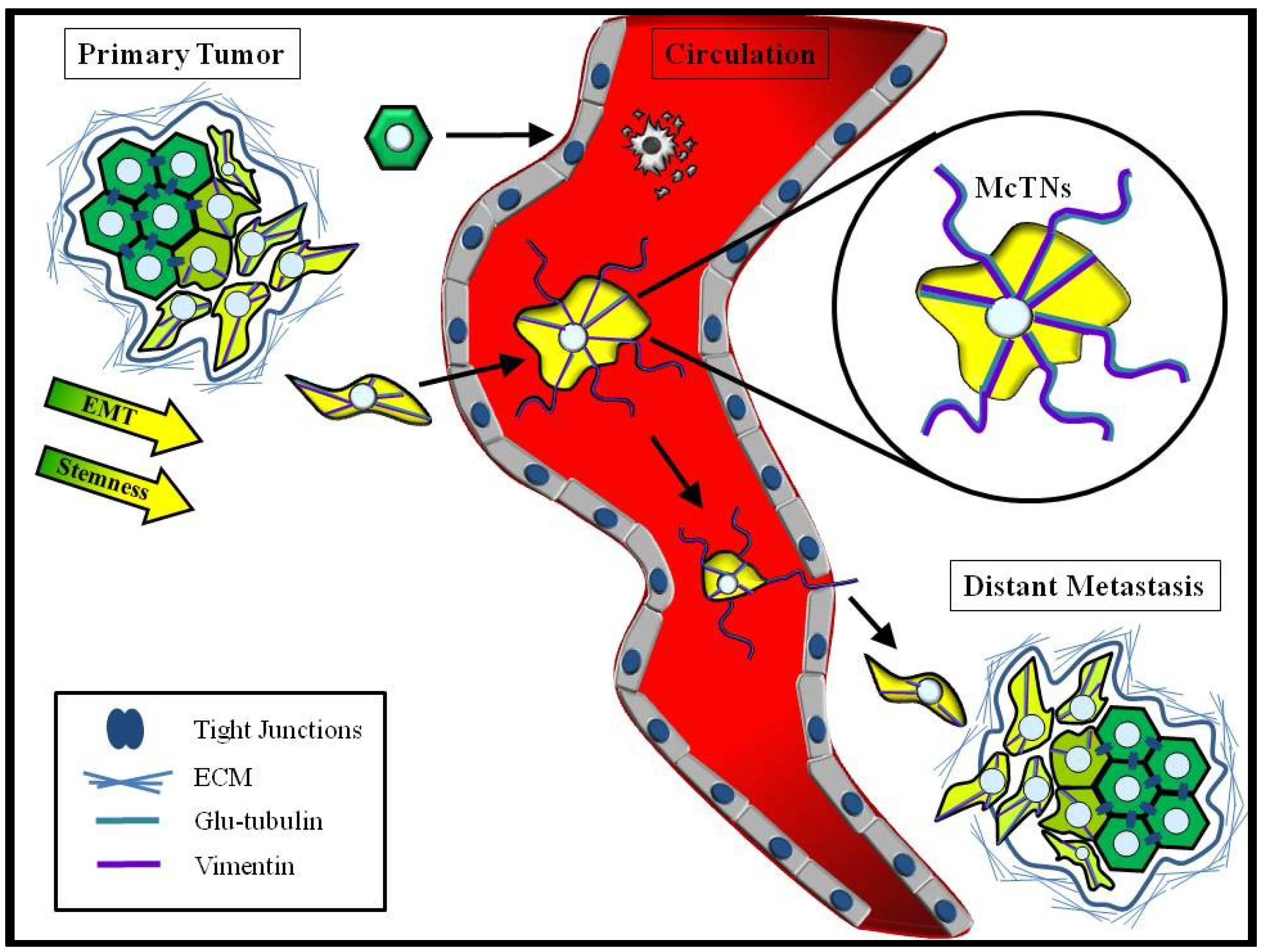 Cancers | Free Full-Text | Interplay of Stem Cell ...