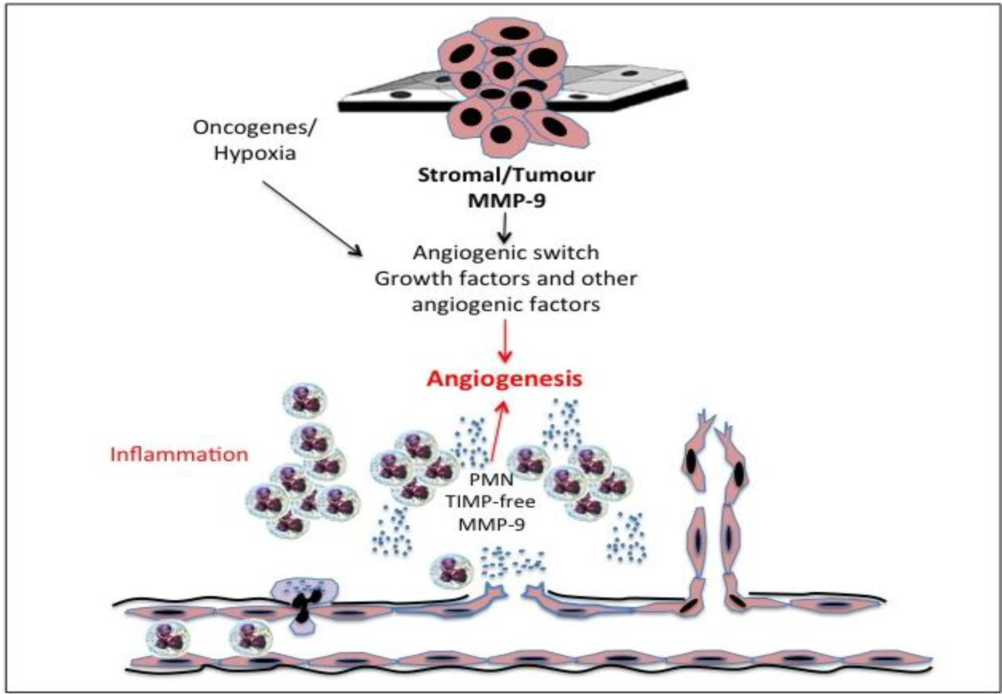 read advanced digestive endoscopy