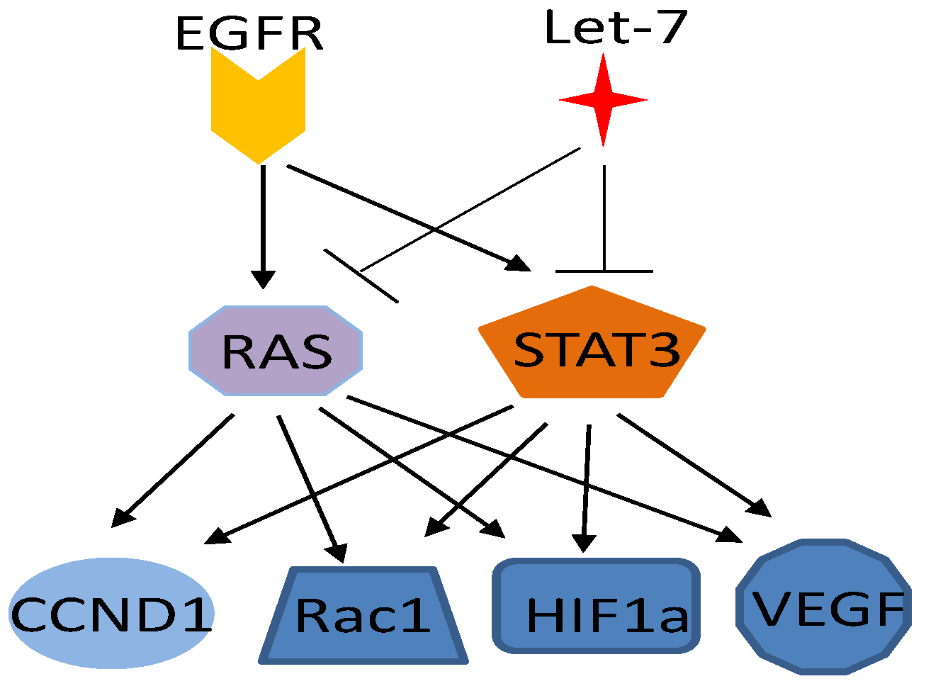 Cancers | Free Full-Text | Genetic Interactions of STAT3 and 