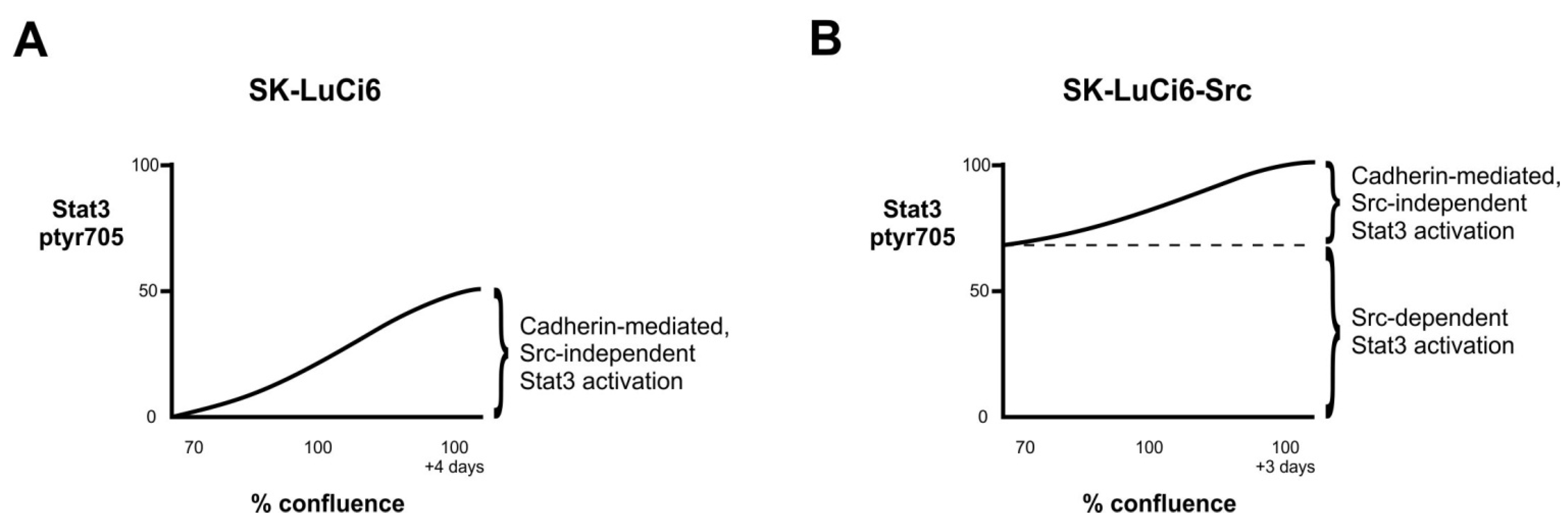 Cancers 06 00646 g003