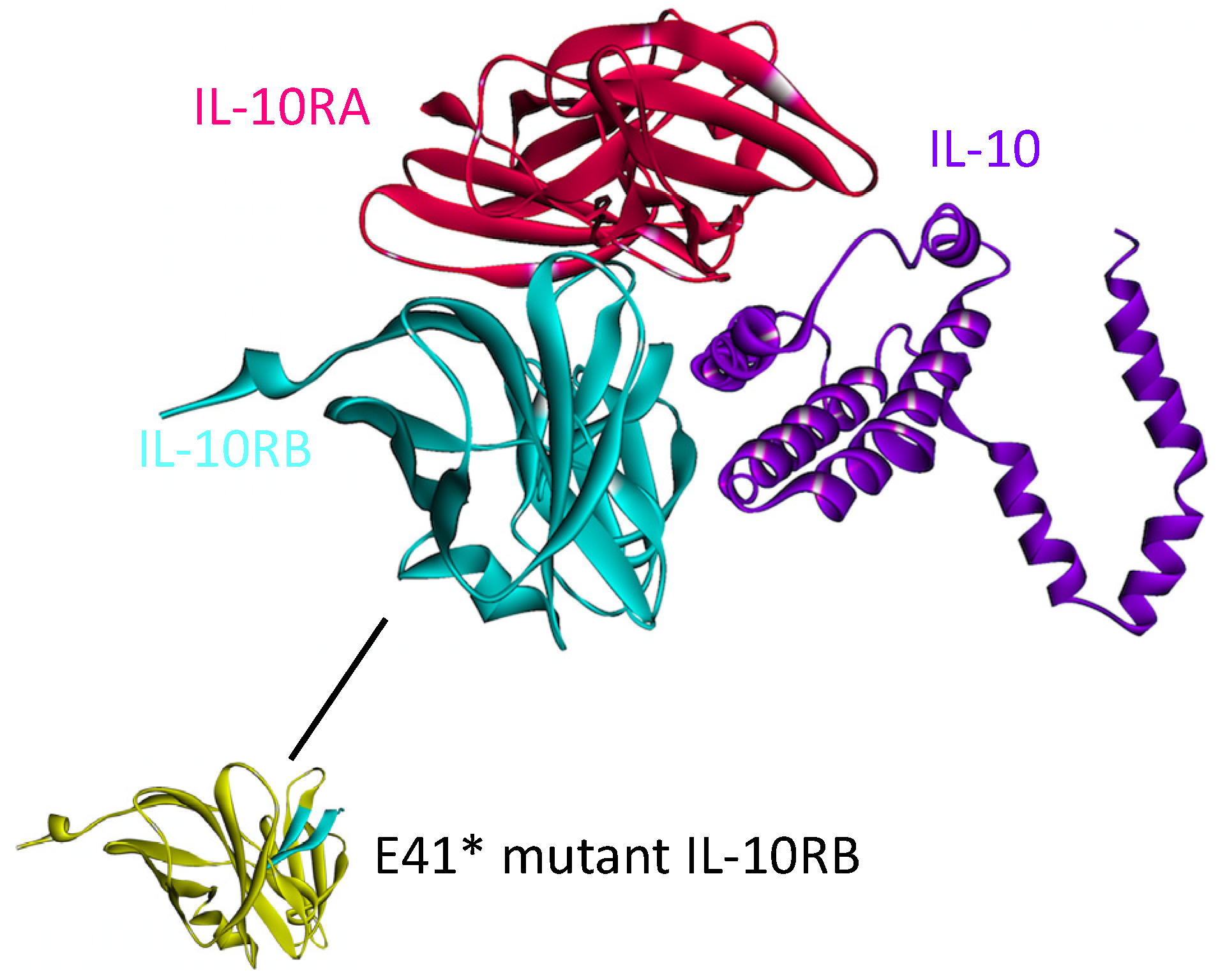 Cancers 06 00663 g009 1024