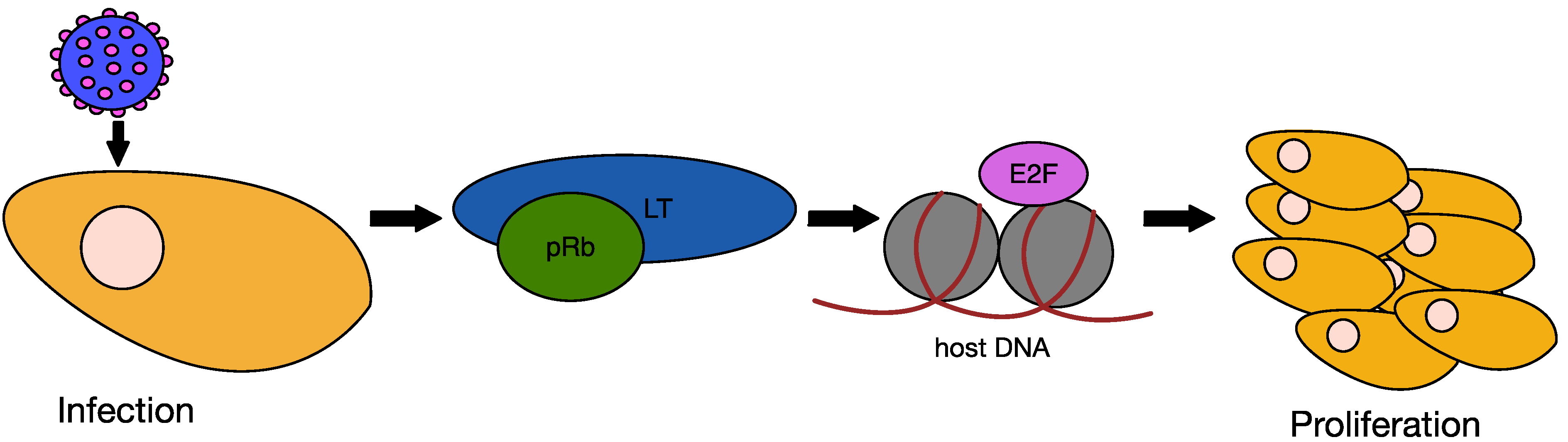Cancers 06 01267 g008