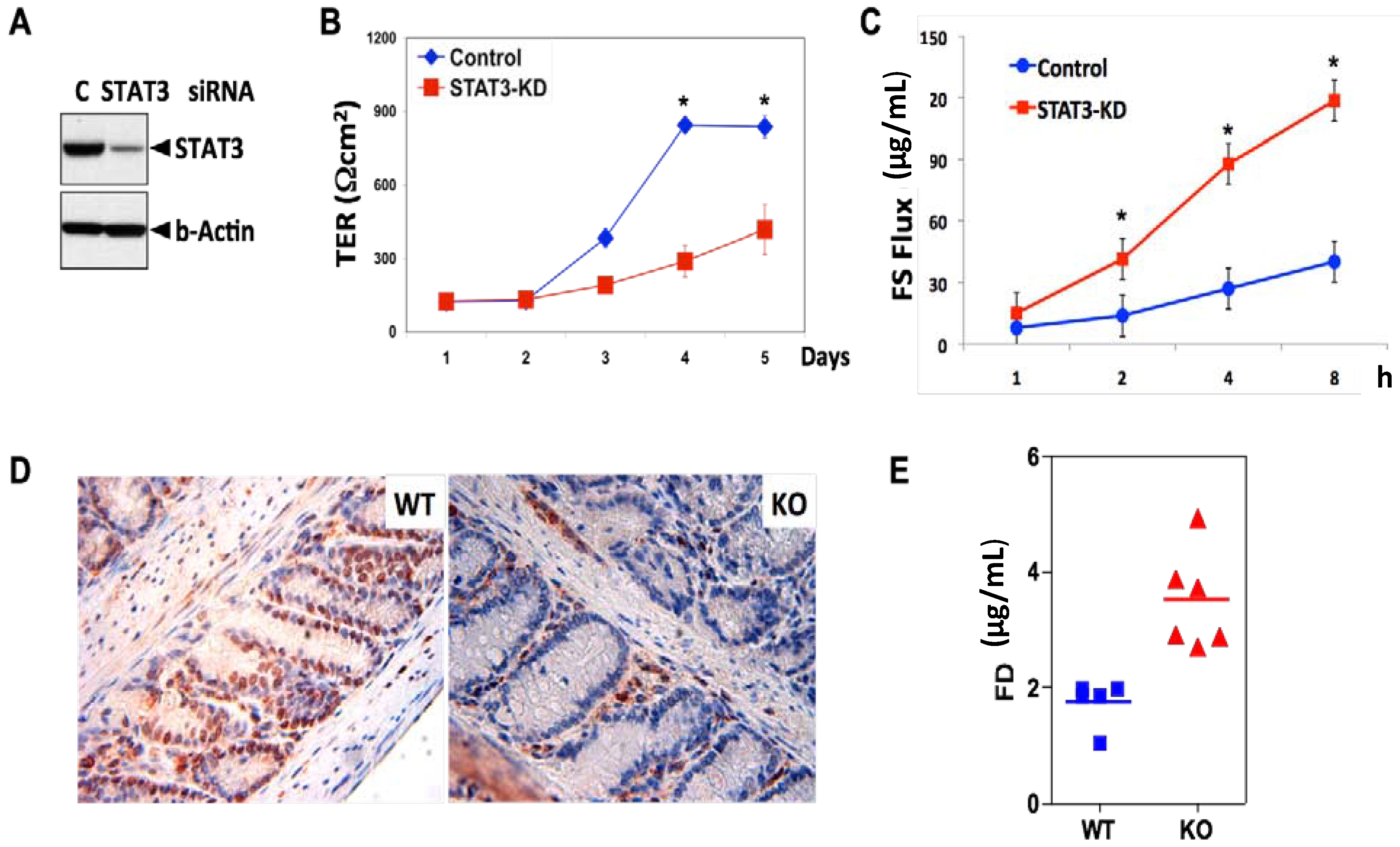 Cancers 06 01394 g002