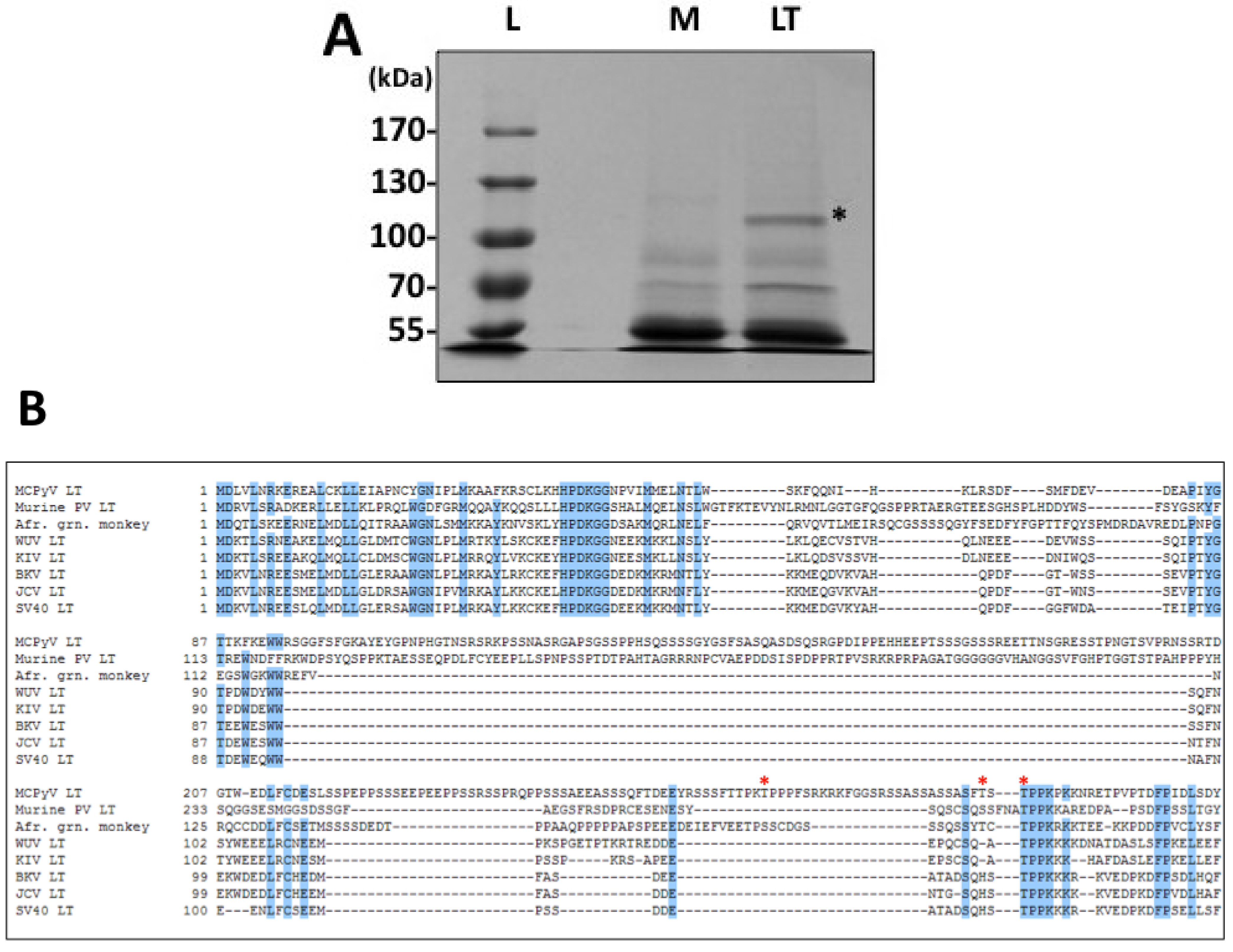 Cancers 06 01464 g001 550