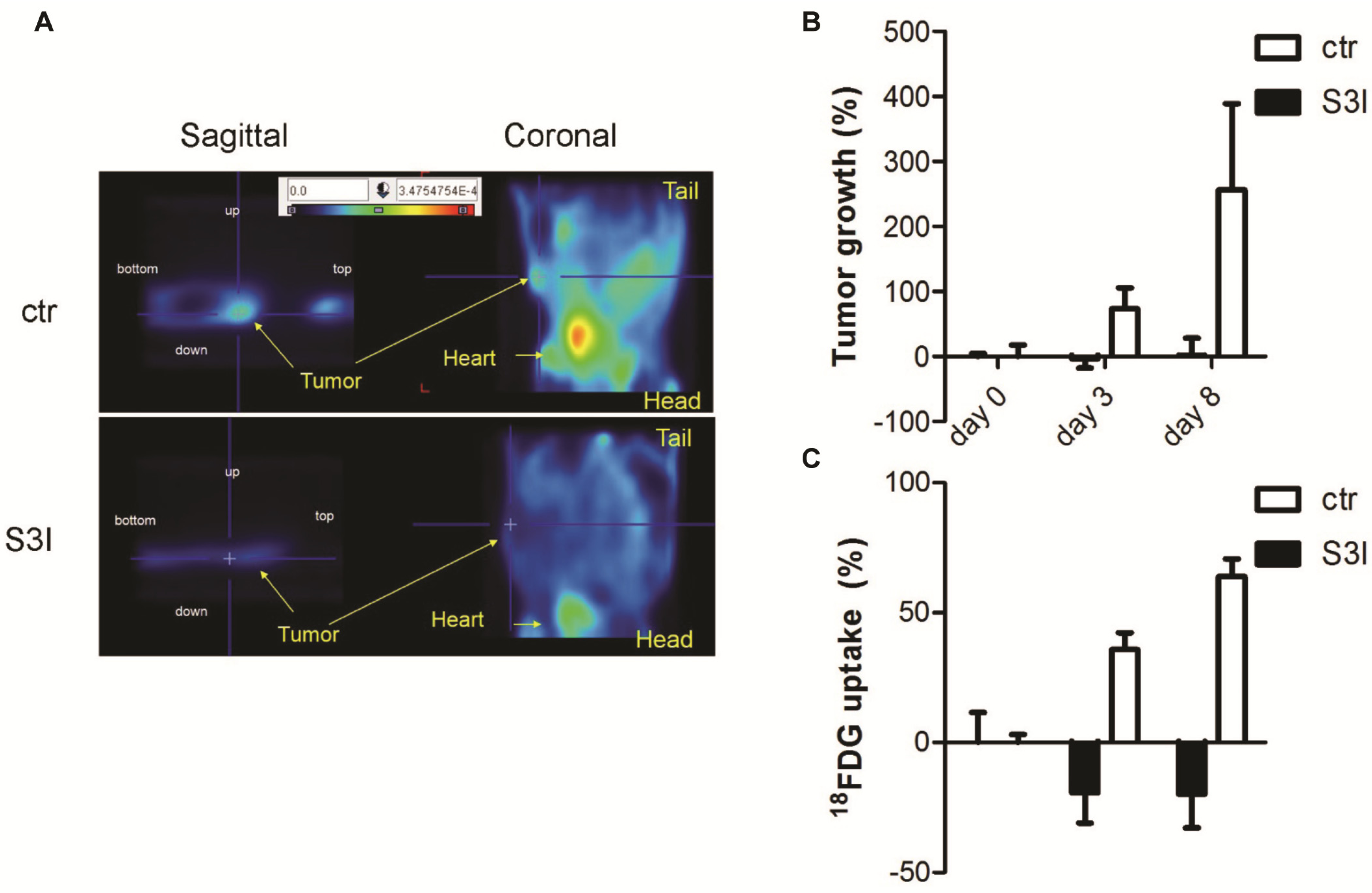 Cancers 06 01579 g002