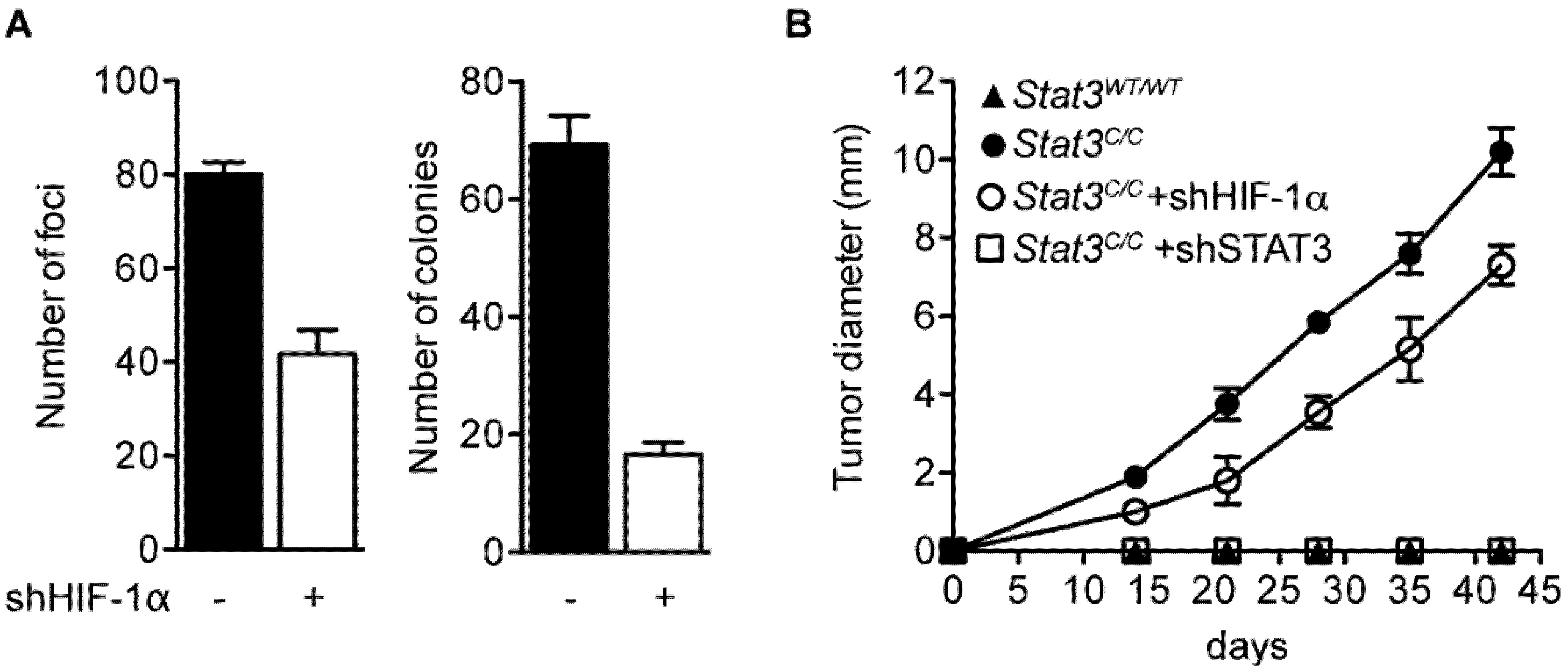 Cancers 06 01579 g005