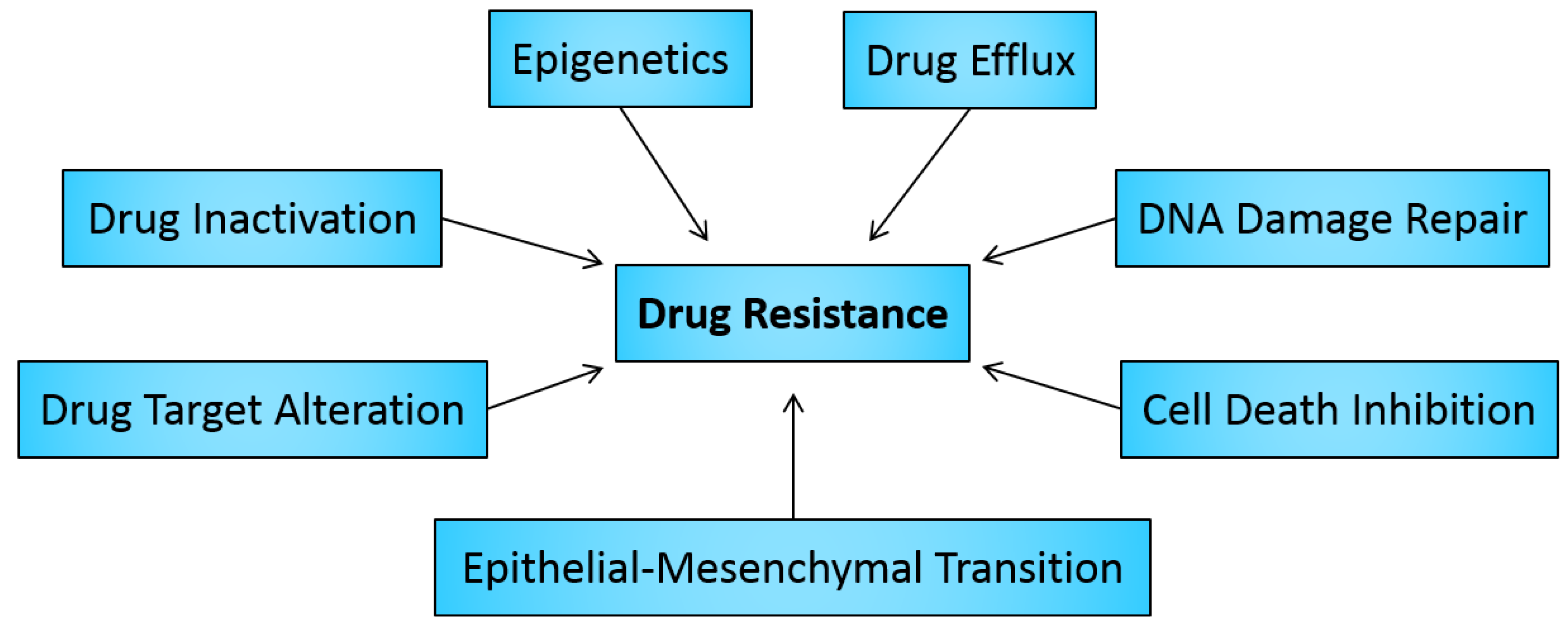 Cancers Free FullText Drug Resistance in Cancer An Overview