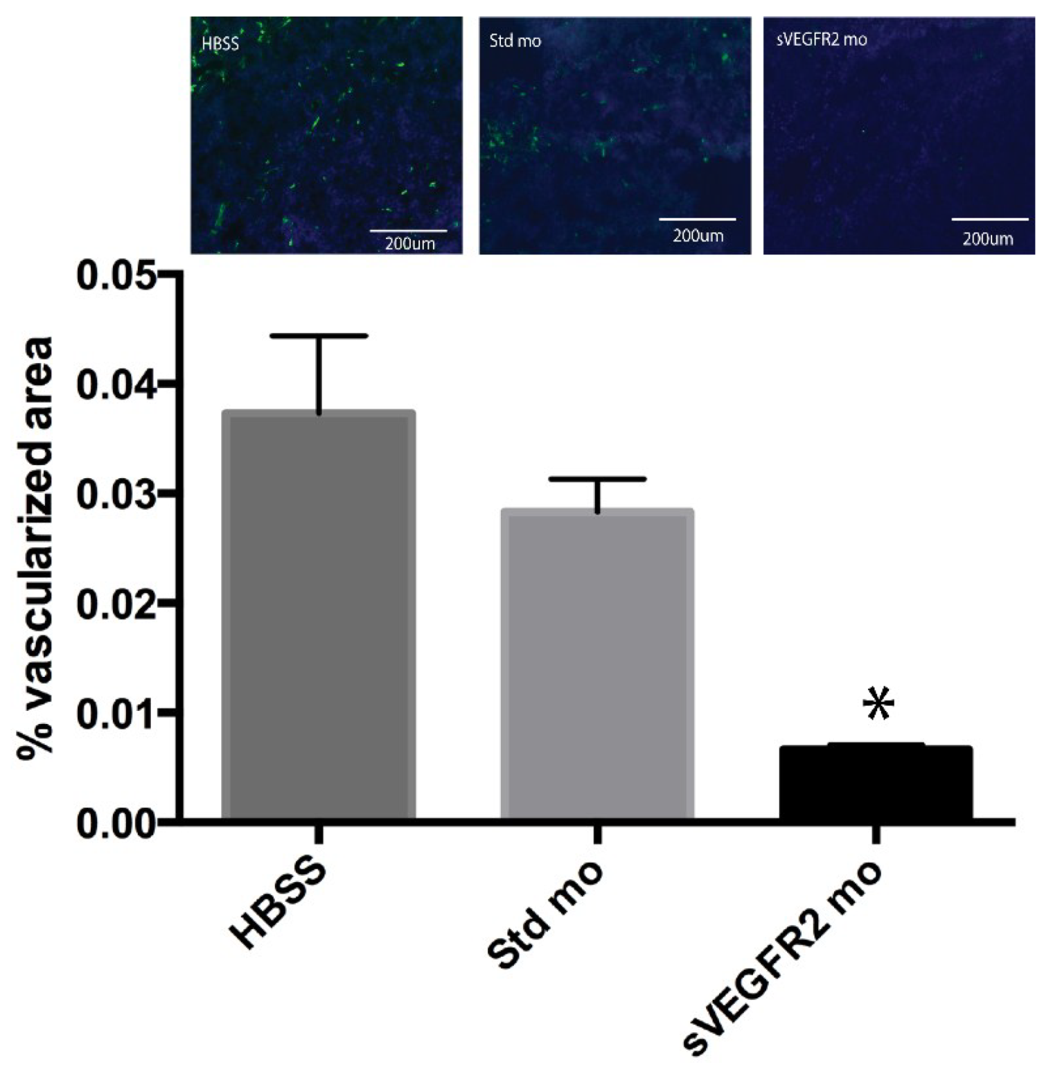 Cancers 06 02330 g005