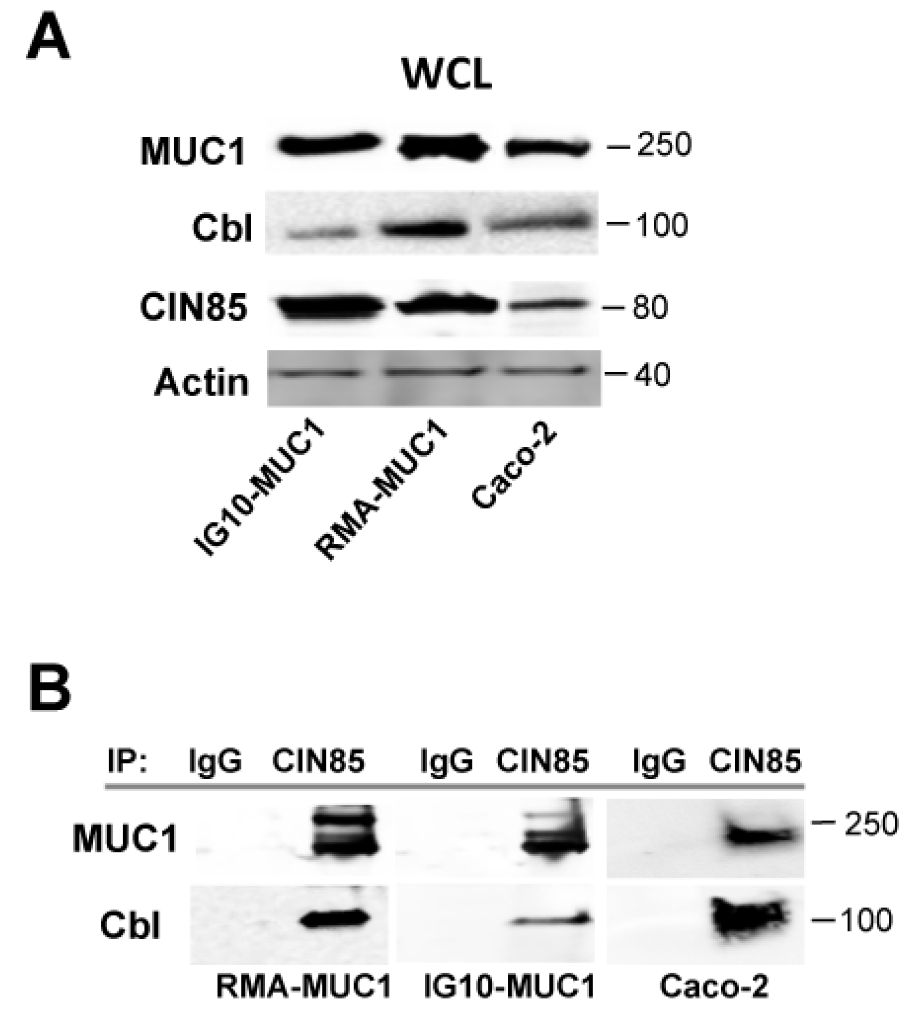 Cancers 07 00342 g002