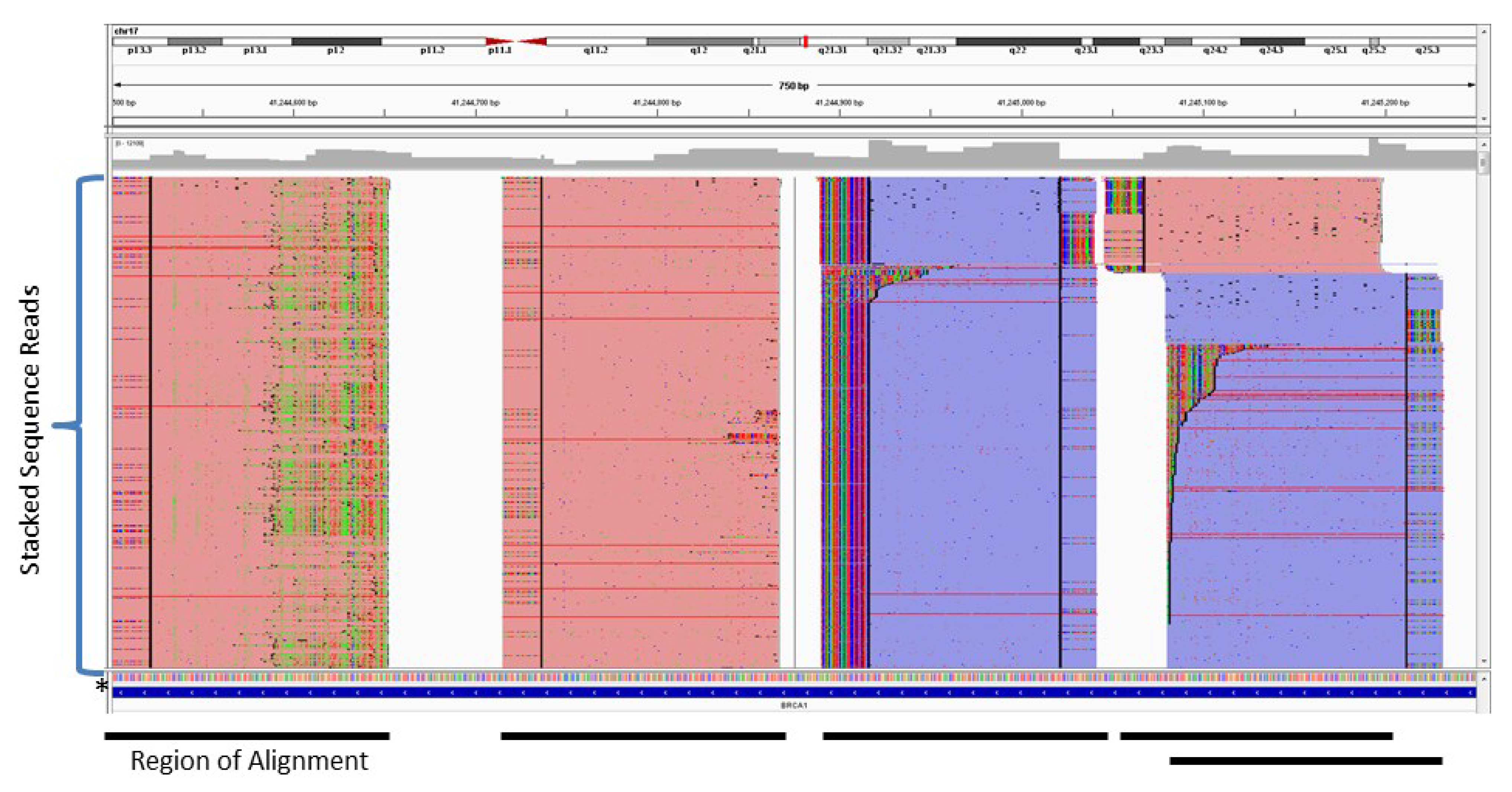 Cancers 07 00837 g002