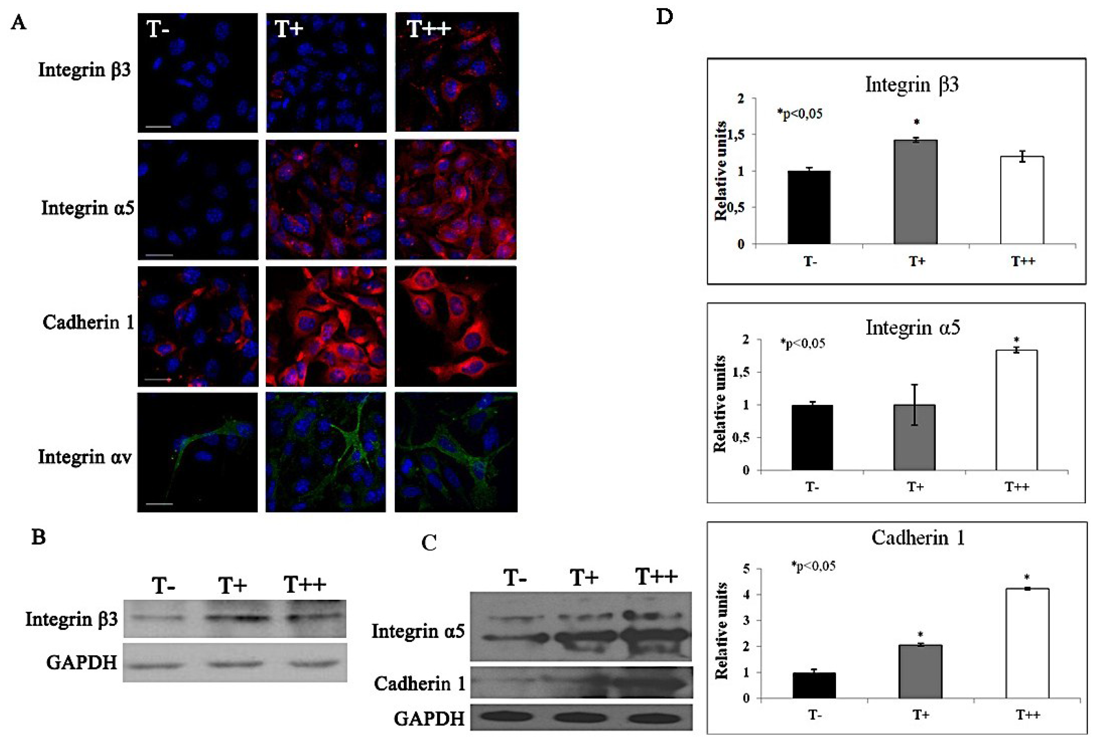 Cancers 07 00840 g009 1024